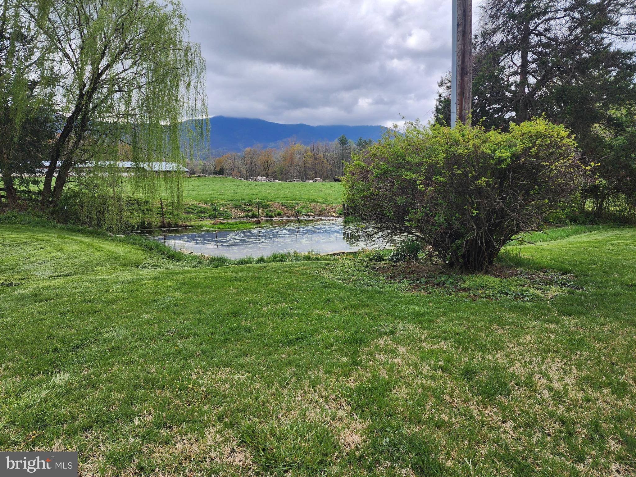 Luray, VA 22835,2488 DRY RUN RD