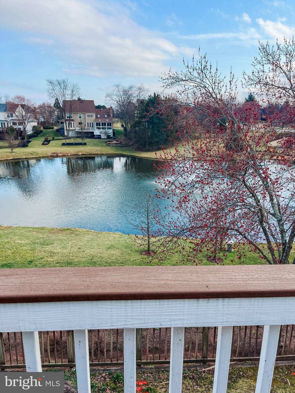 Ashburn, VA 20147,43271 CHOKEBERRY SQ