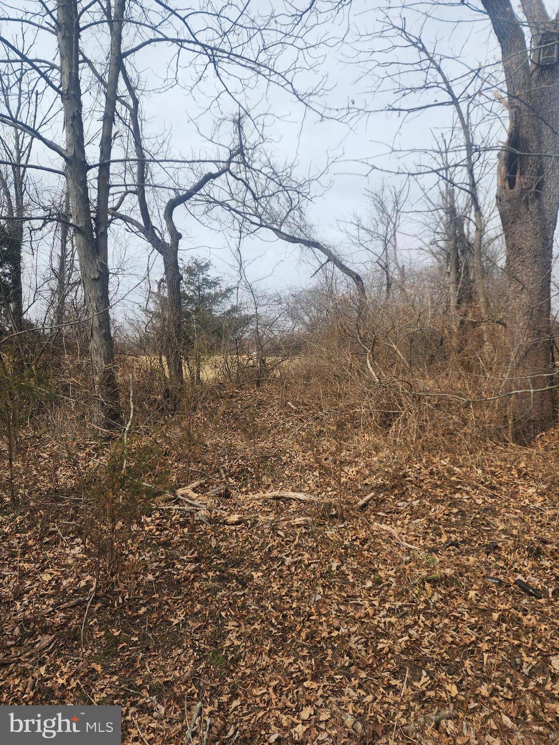 Chalfont, PA 18914,0 N LIMEKILN PK