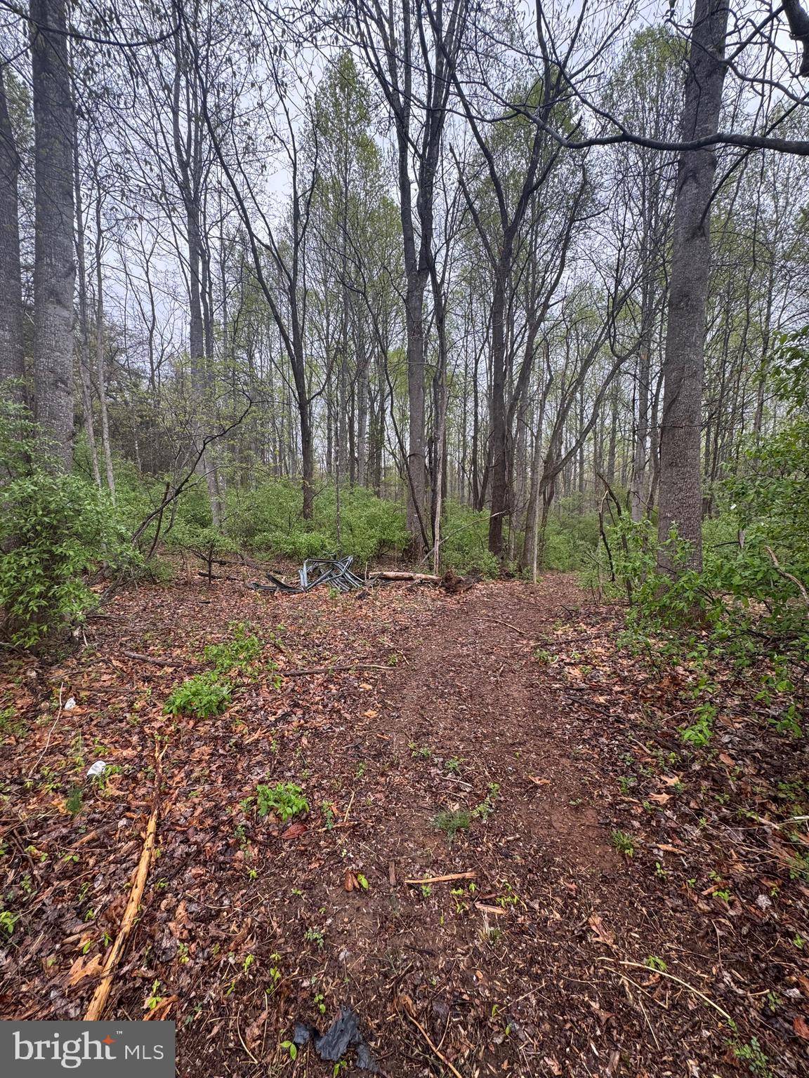 Culpeper, VA 22701,OLD STILLHOUSE RD