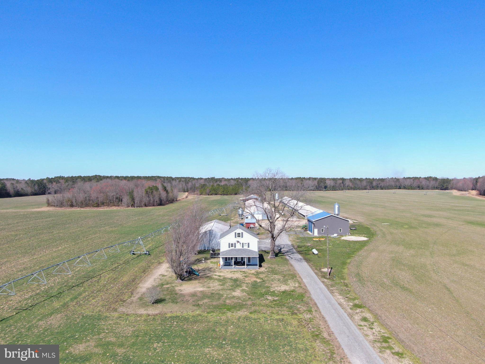 Federalsburg, MD 21632,28268 BRIDGEVILLE RD
