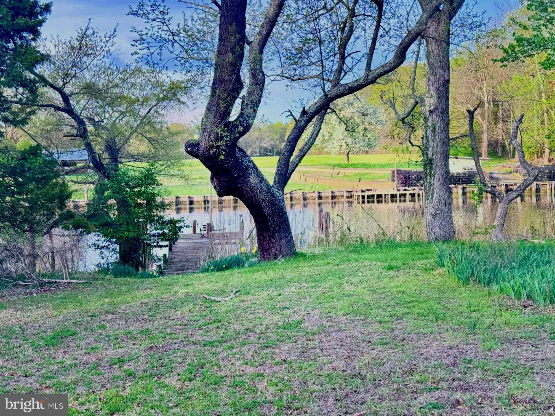Newburg, MD 20664,13700 WAVERLY POINT RD