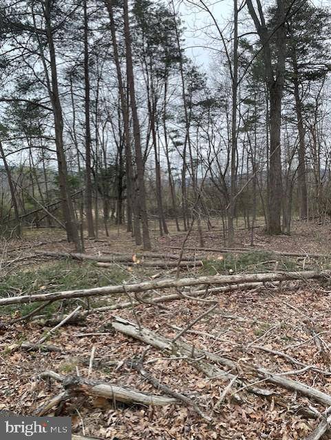 Mercersburg, PA 17236,0 PUNCH BOWL ROAD