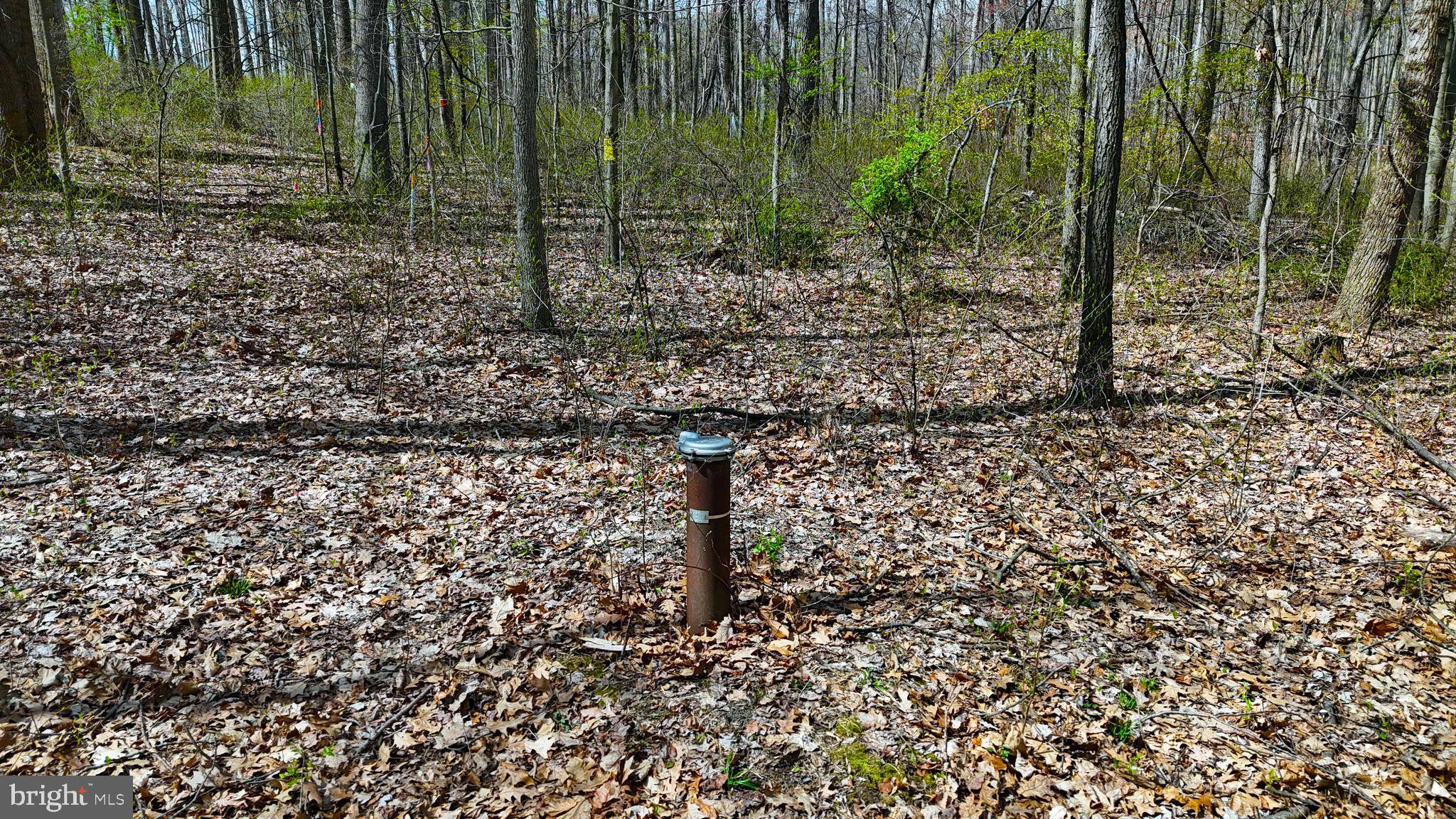 Westminster, MD 21158,4754 BAND HALL HILL RD