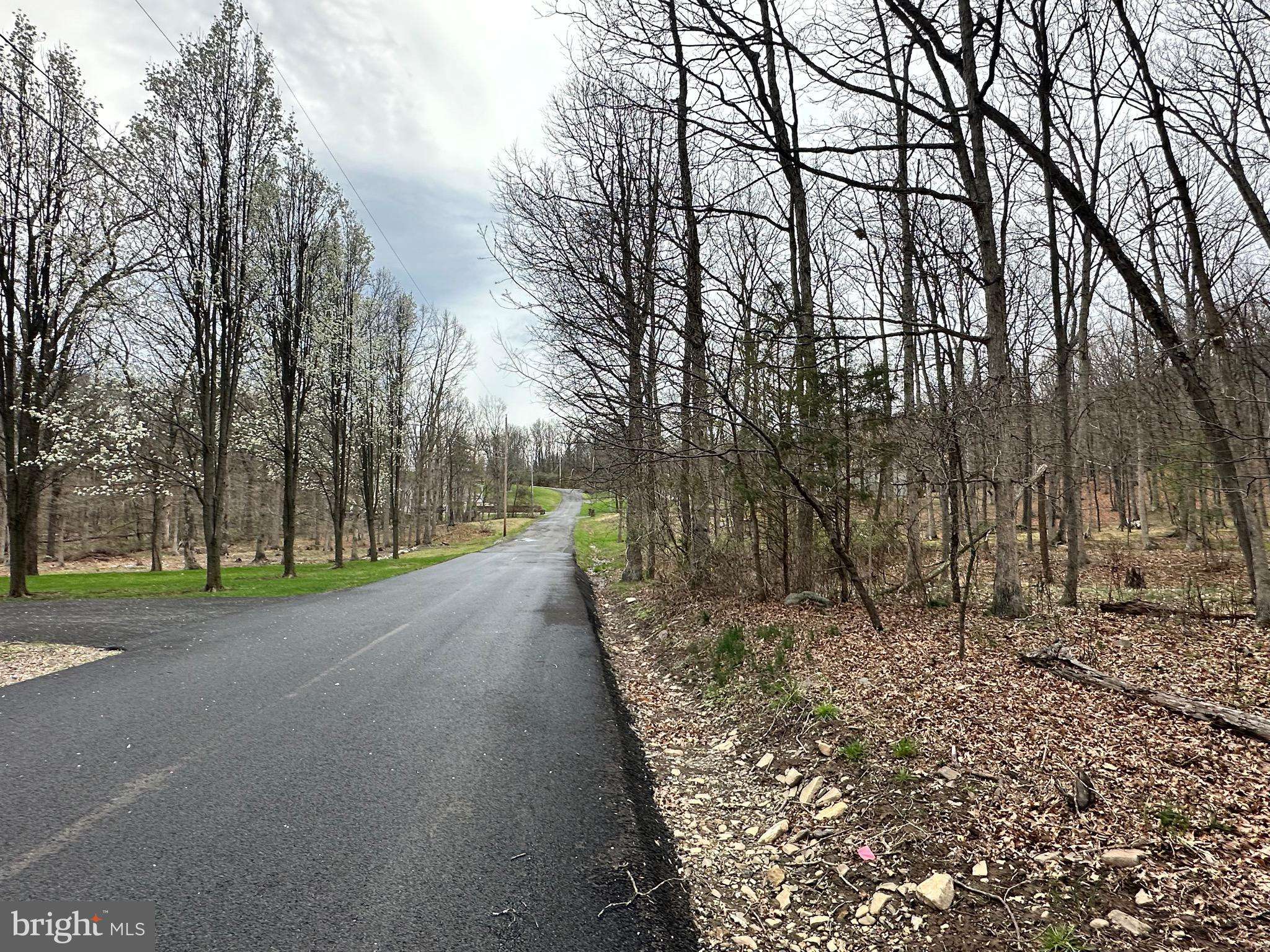 New Creek, WV 26743,TIMBERLAKE ESTATES - LOT 24