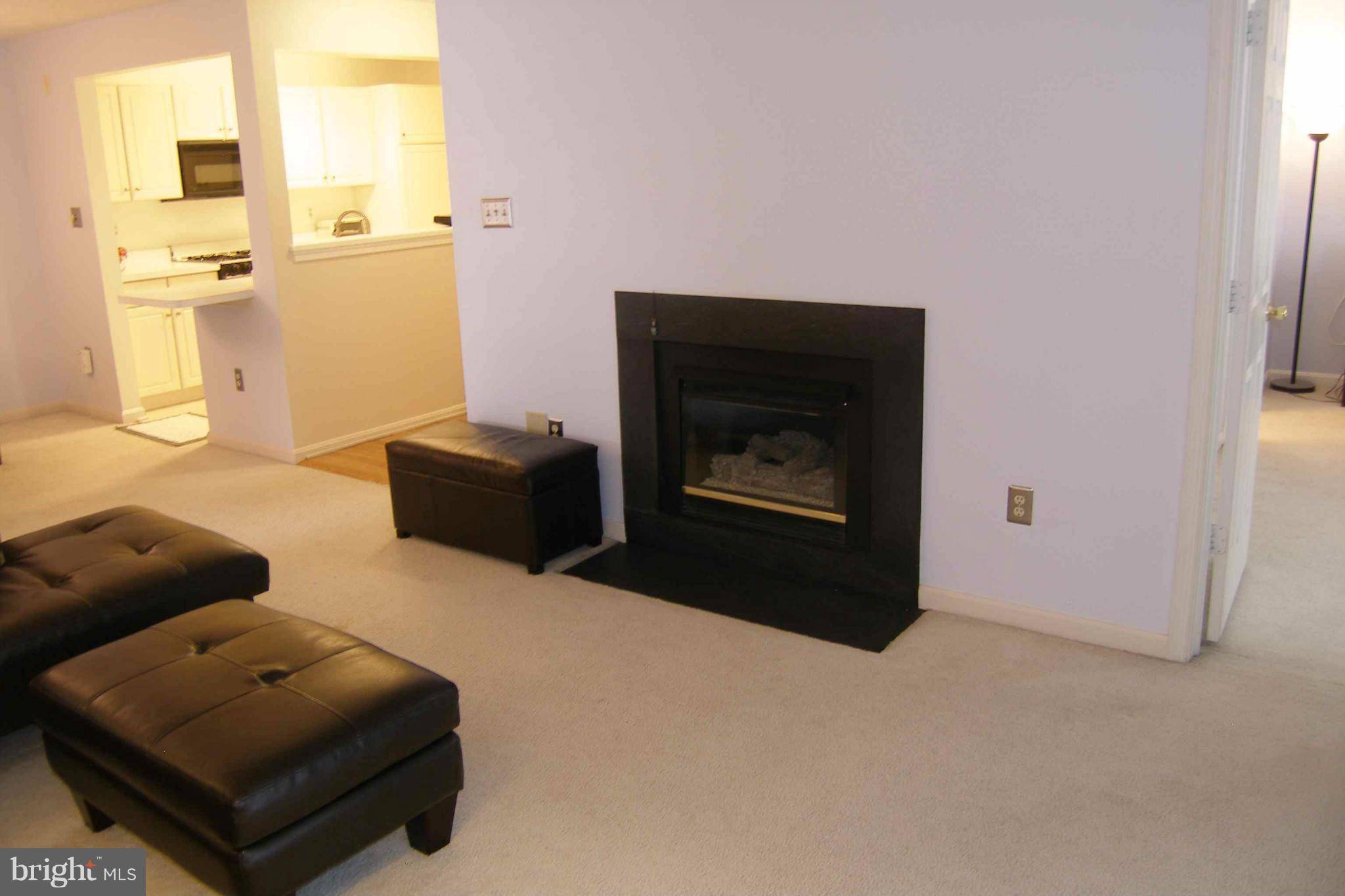 Rockville, MD 20850,10021 VANDERBILT CIR #APT 7