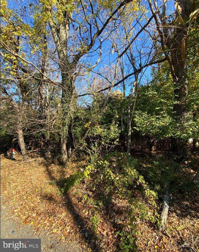 Vienna, VA 22182,8354 JUDY WITT LN