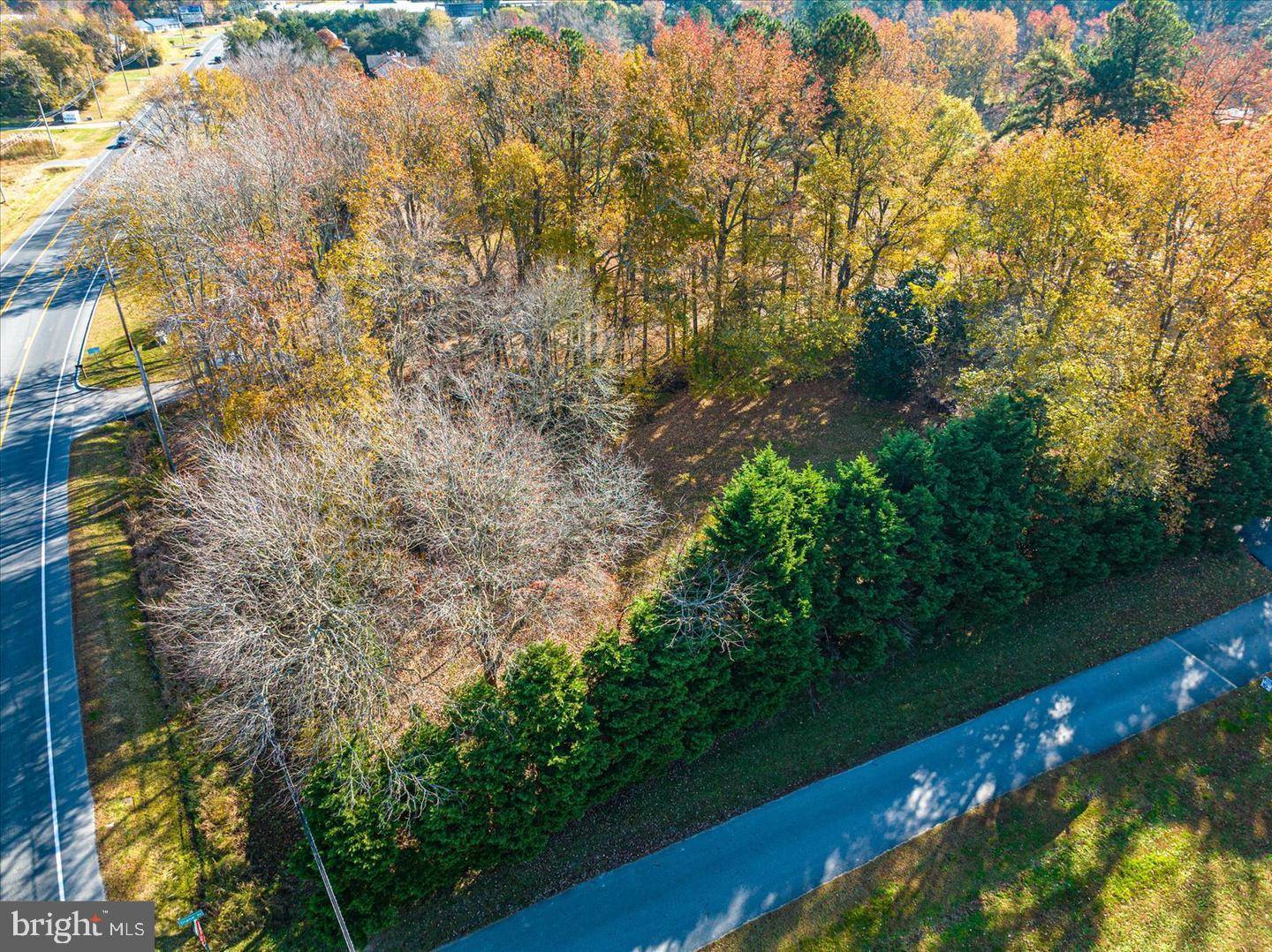Ocean View, DE 19970,LOT 1 DIANE RD