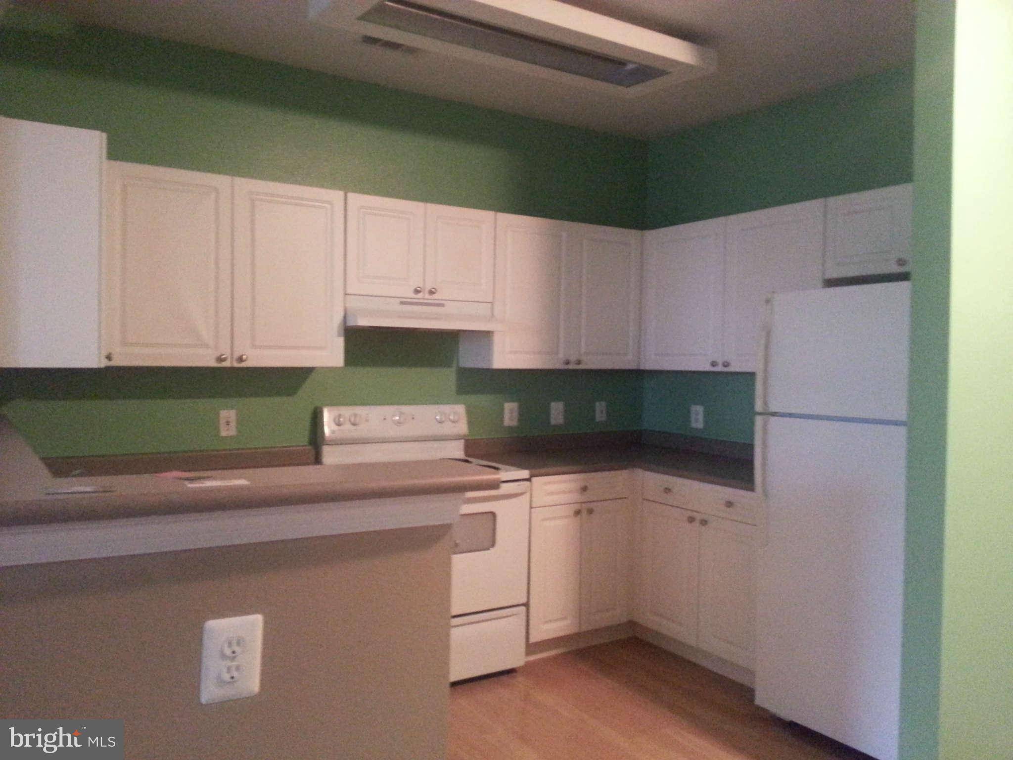 Falls Church, VA 22042,3009 NICOSH CIR #4304