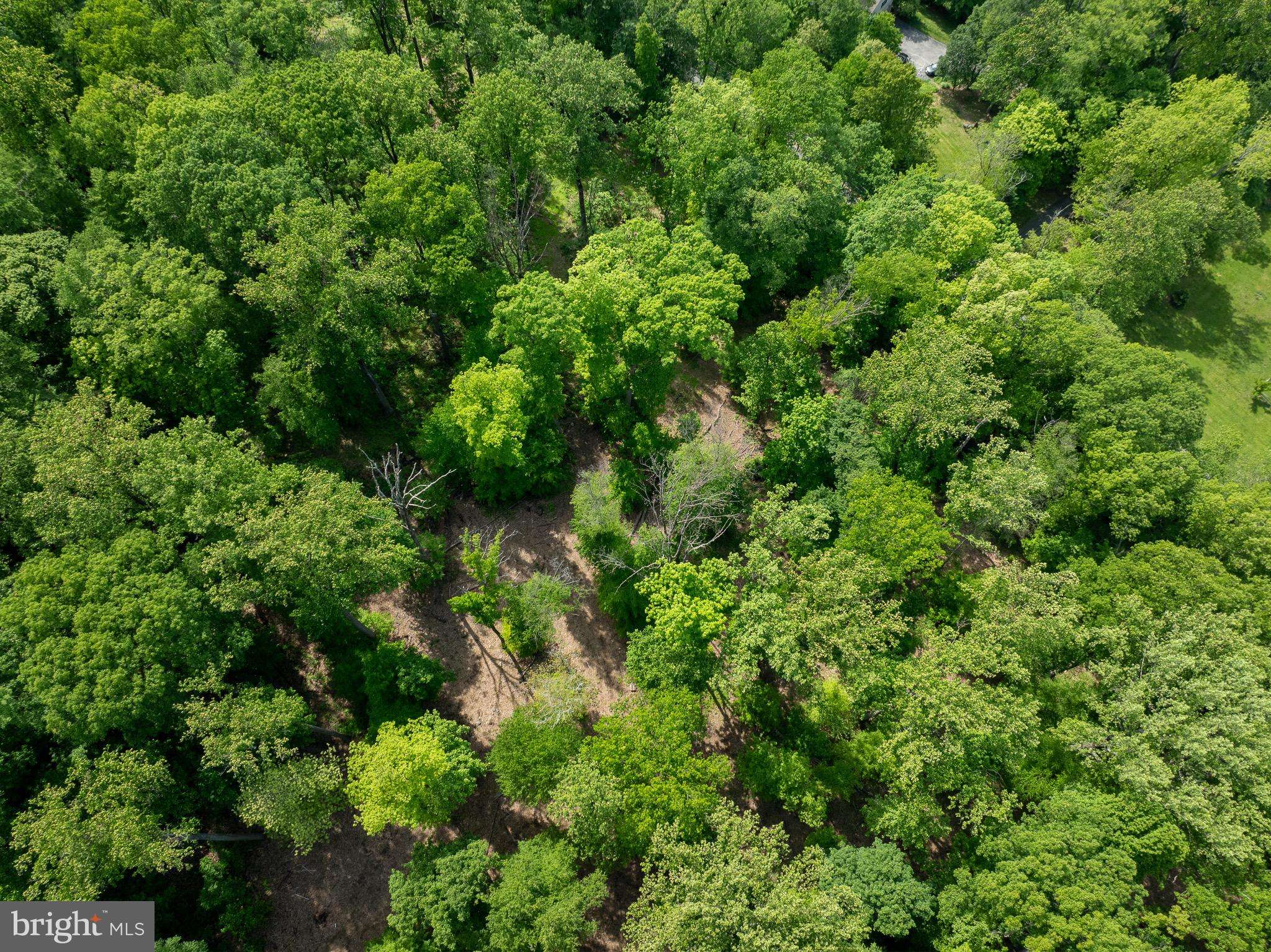 Chester Springs, PA 19425,1672 HOLLOW RD