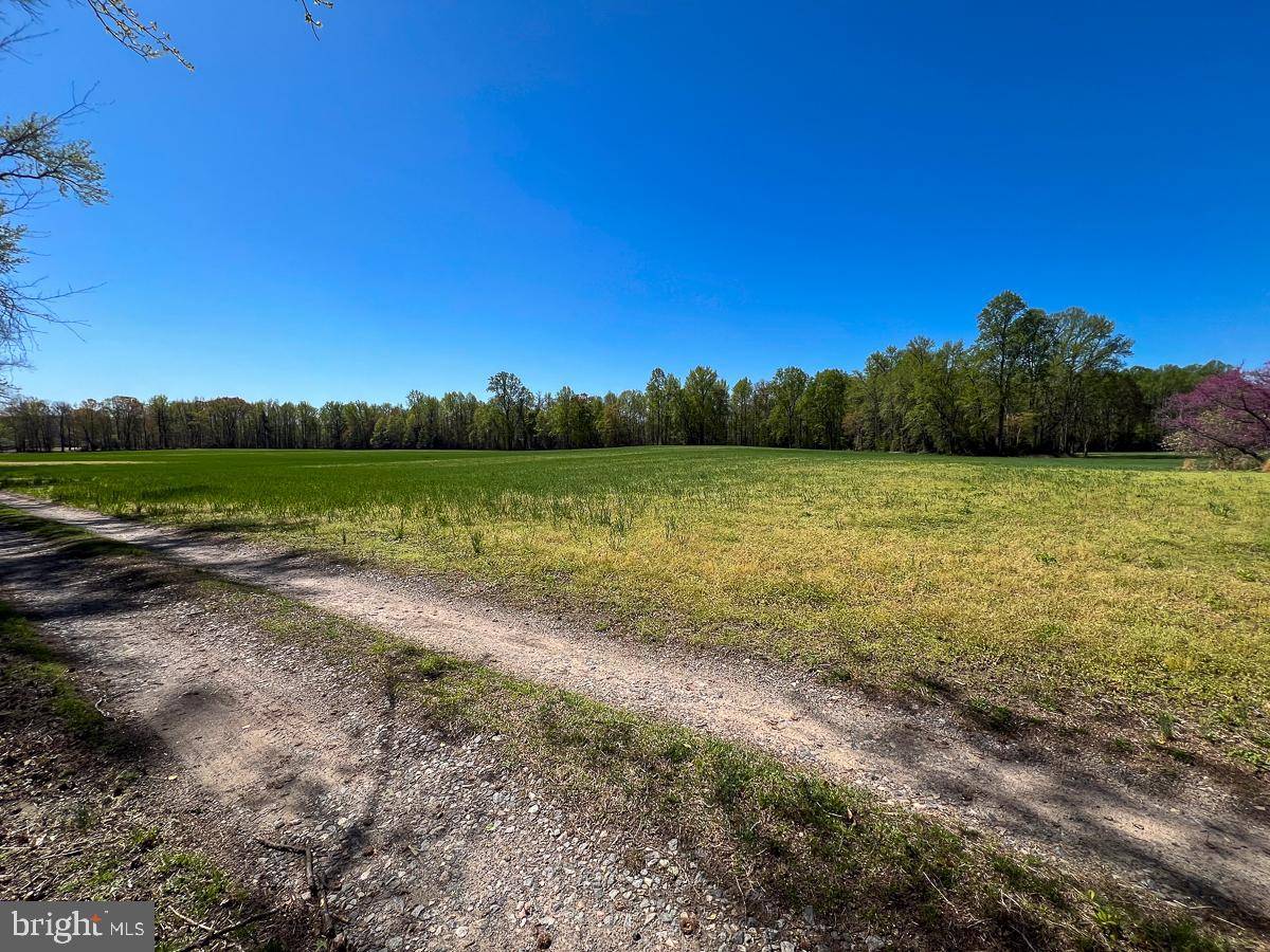 Caret, VA 22436,12.42 ACRES BULL NECK ROAD
