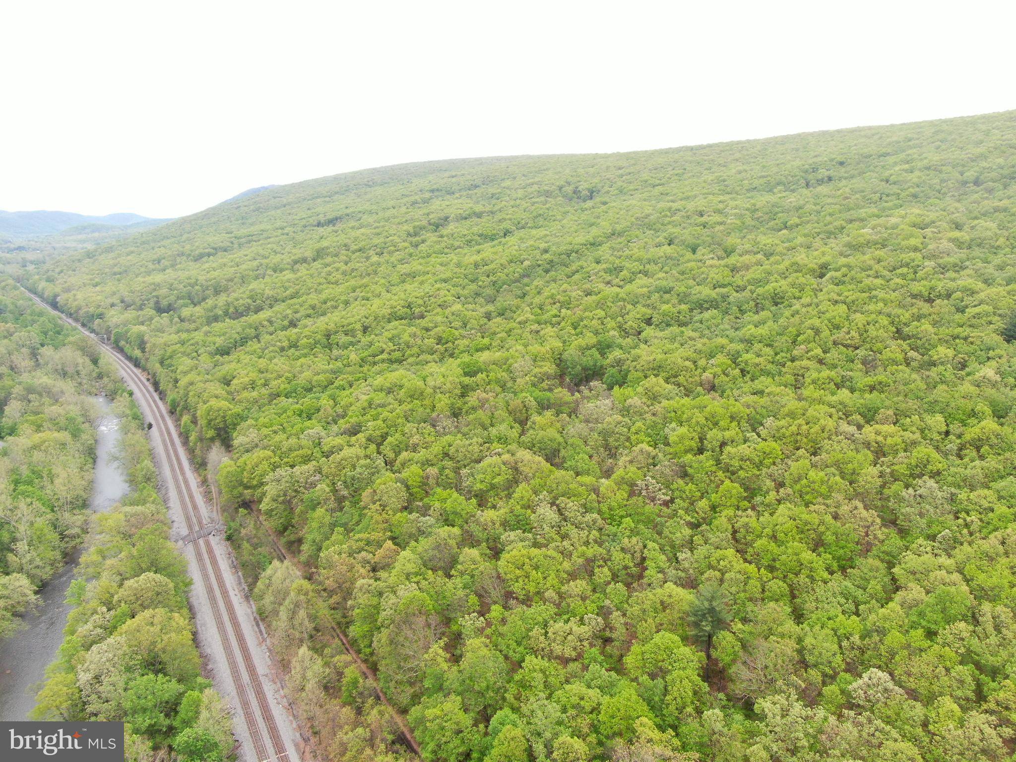 Hyndman, PA 15545,TRACT 1: 191+/- ACRES COOKS MILL RD