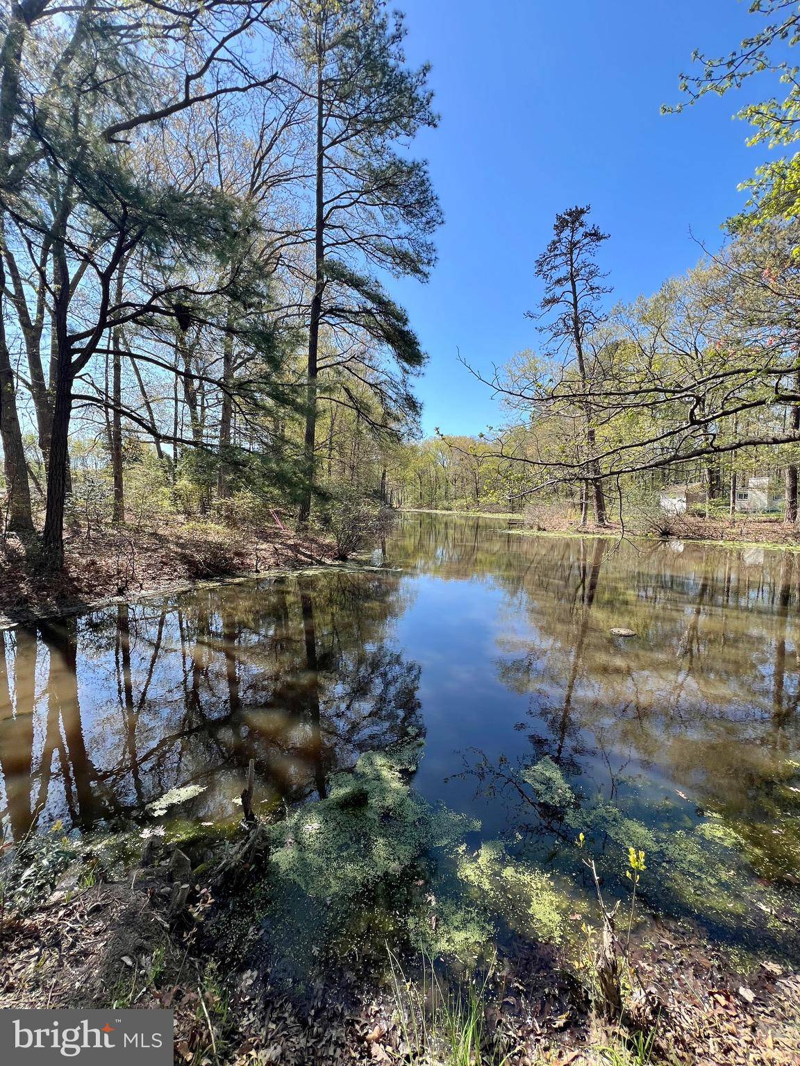 Colonial Beach, VA 22443,219 HOLLY WAY