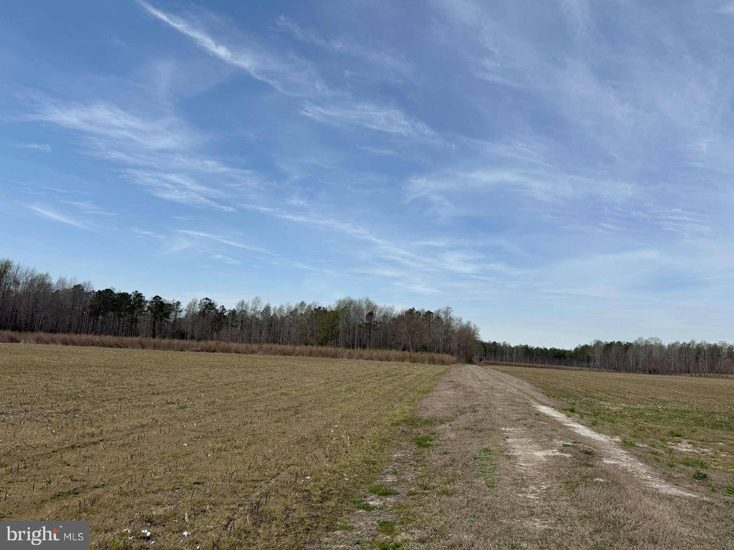 Other, NC 99999,GREY FARM ROAD-JAMESVILLE, NC (TRACT: GREY FARM)