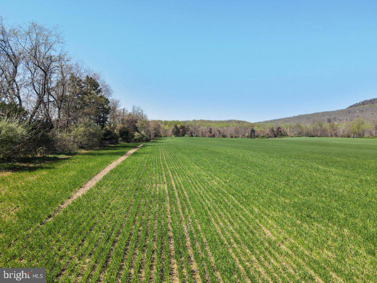 Dickerson, MD 20842,Address not disclosed