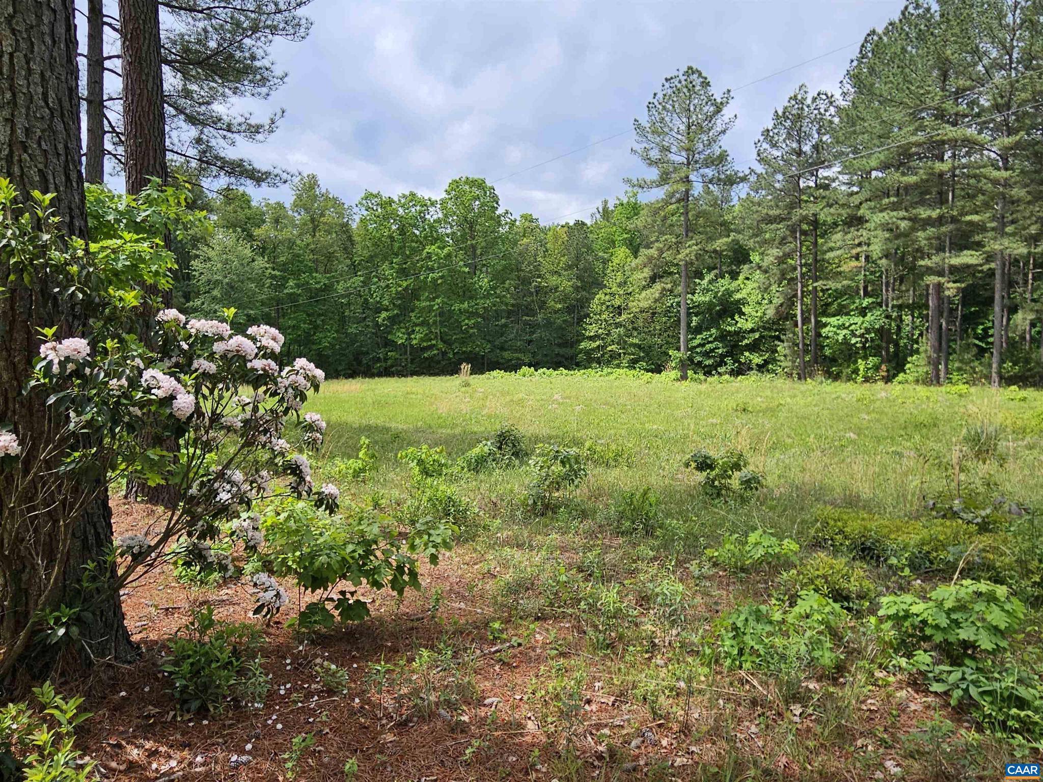 Esmont, VA 22937,000 MT ALTO RD