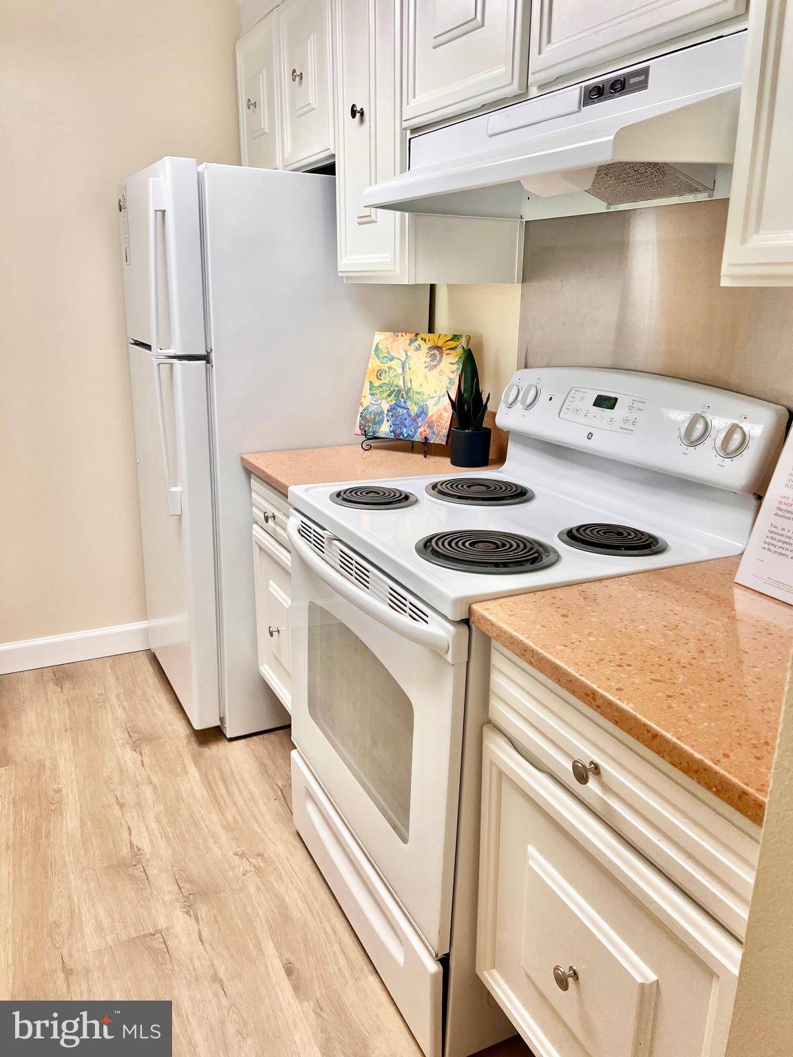 Silver Spring, MD 20906,3350 CHISWICK CT #57-1C
