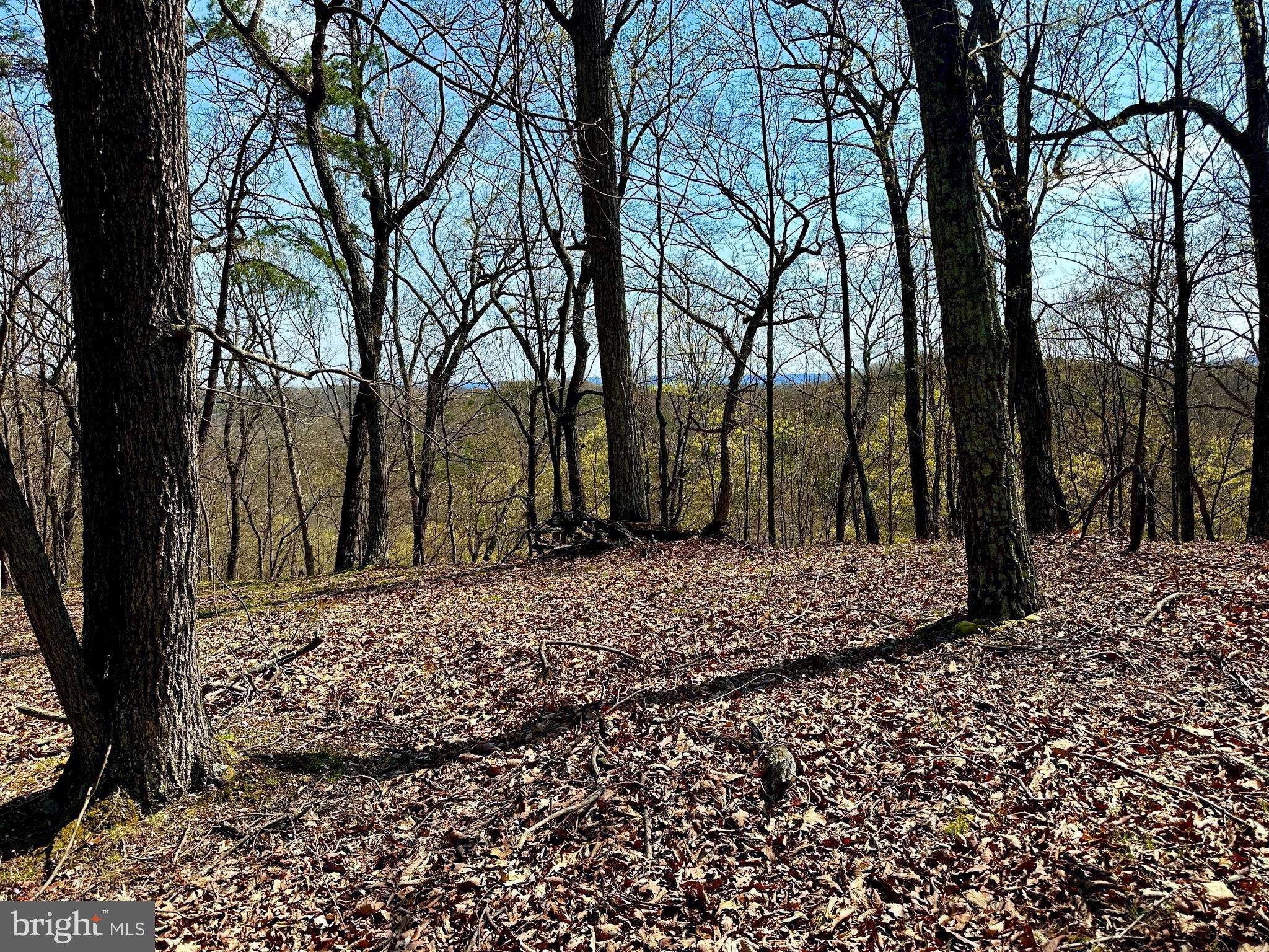 Burlington, WV 26710,166 AC PARRILL HOLLOW & NORTHWESTERN HWY