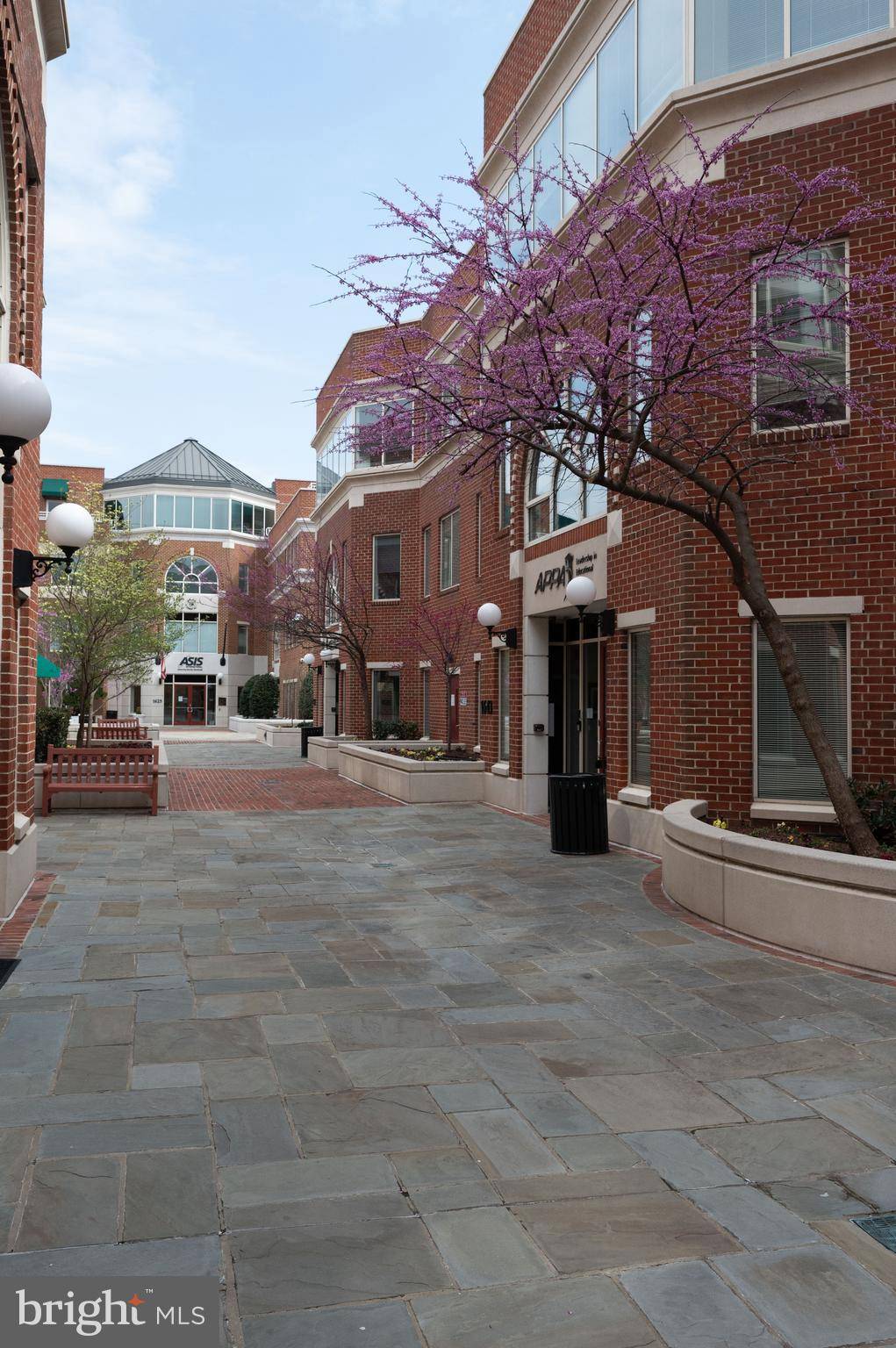 Alexandria, VA 22314,1643 PRINCE ST.