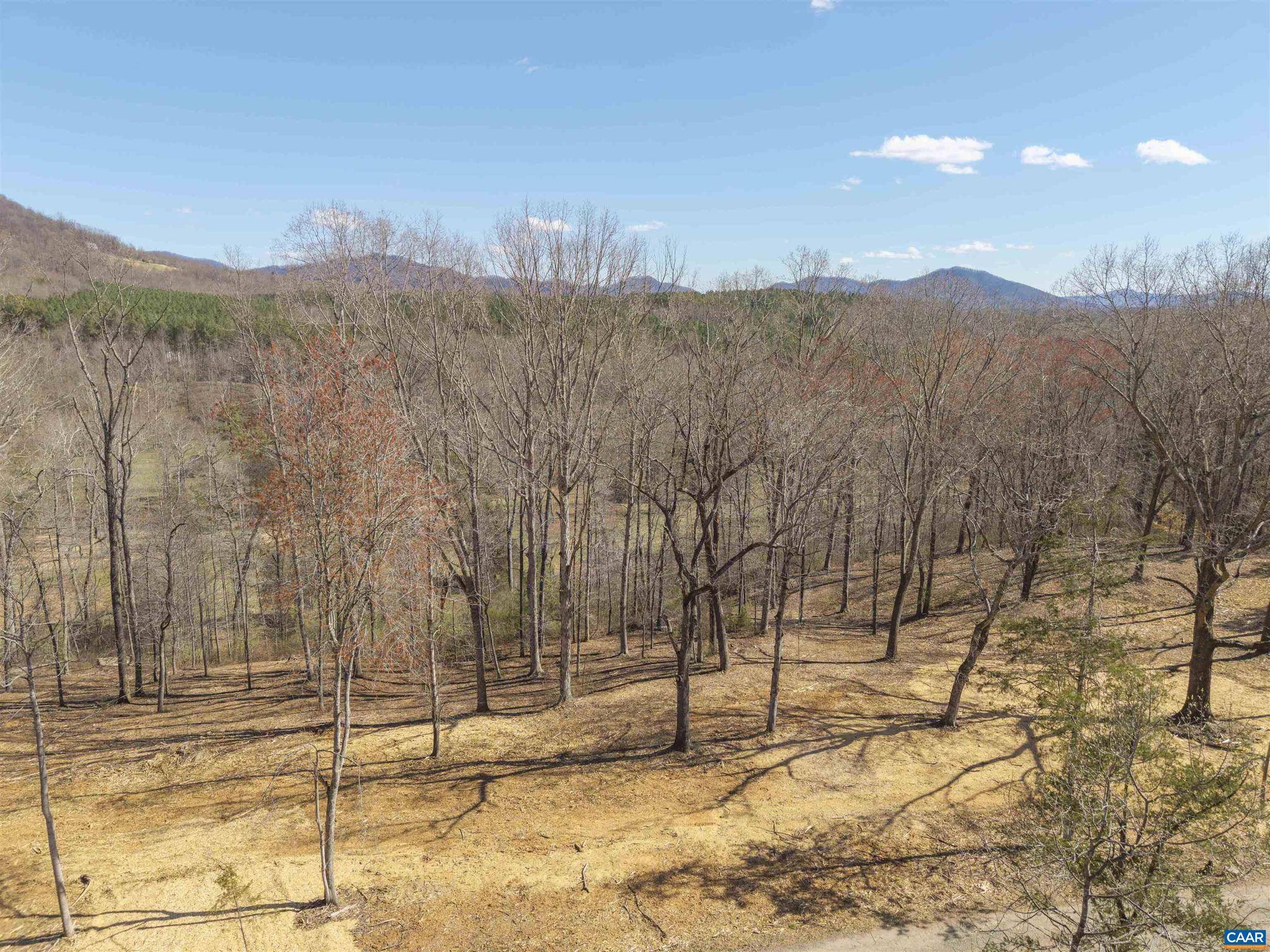 Afton, VA 22920,LOT 3 ROCKFISH VALLEY HWY #3