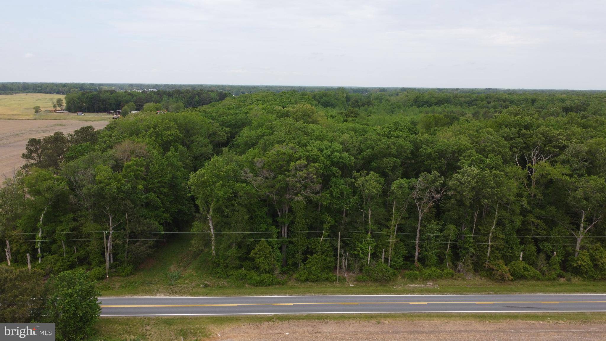 Felton, DE 19943,LOT 10 CEDAR GROVE CHURCH RD