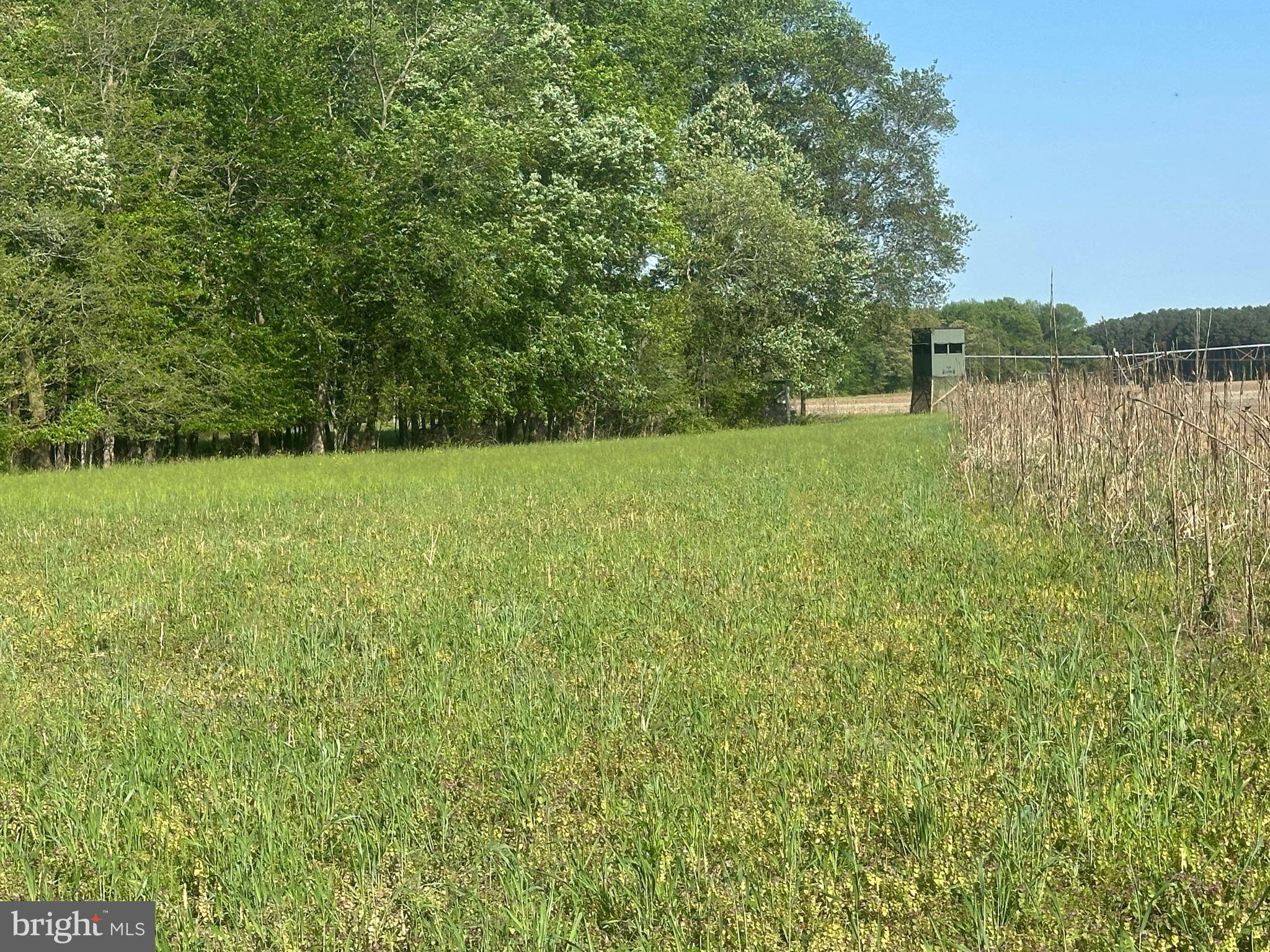 Ridgely, MD 21660,MARBLEHEAD RD