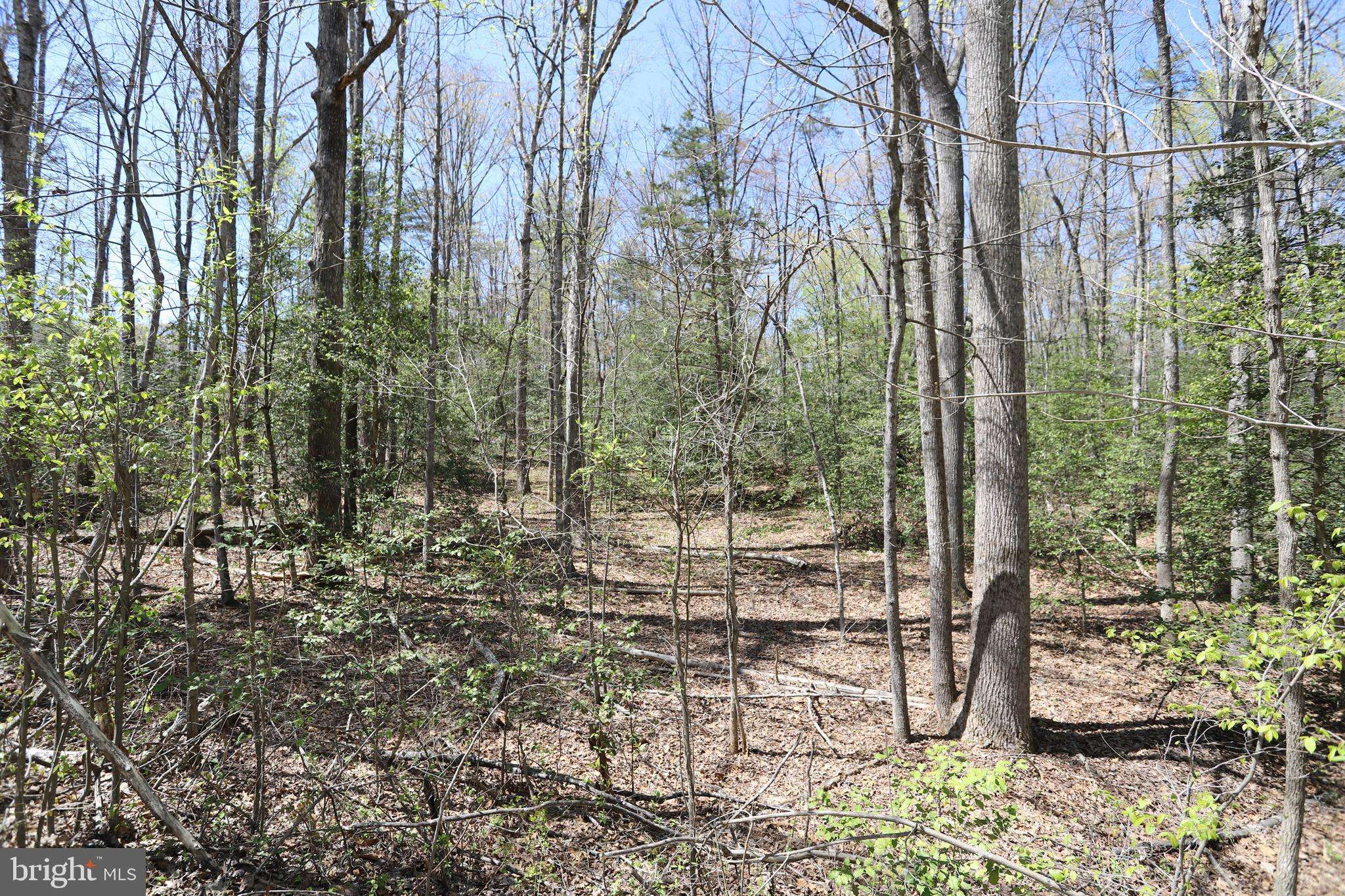 Rhoadesville, VA 22542,NEW HAMPSHIRE RD