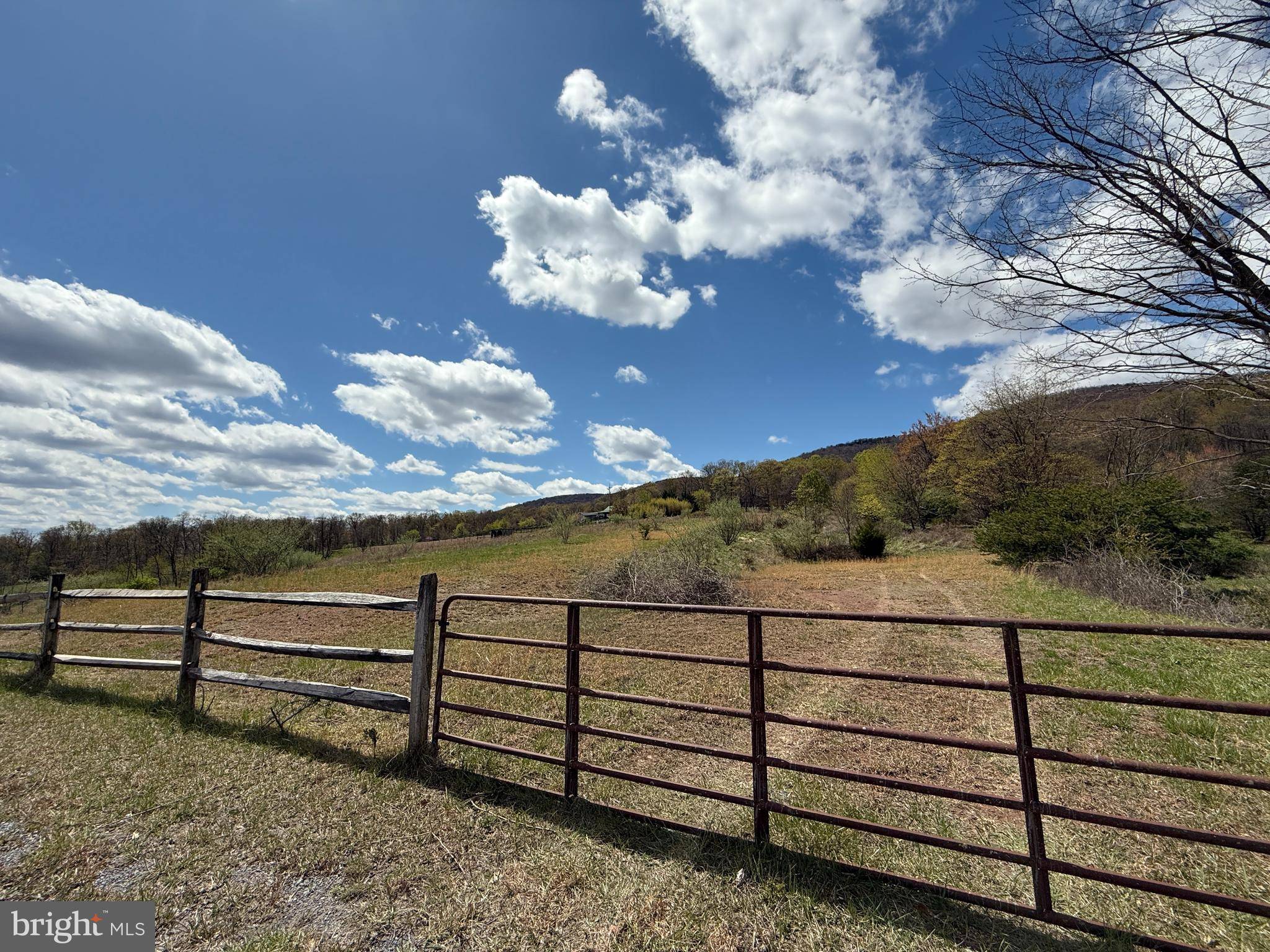 Hedgesville, WV 25427,LOT 62 CRESSIDA DR