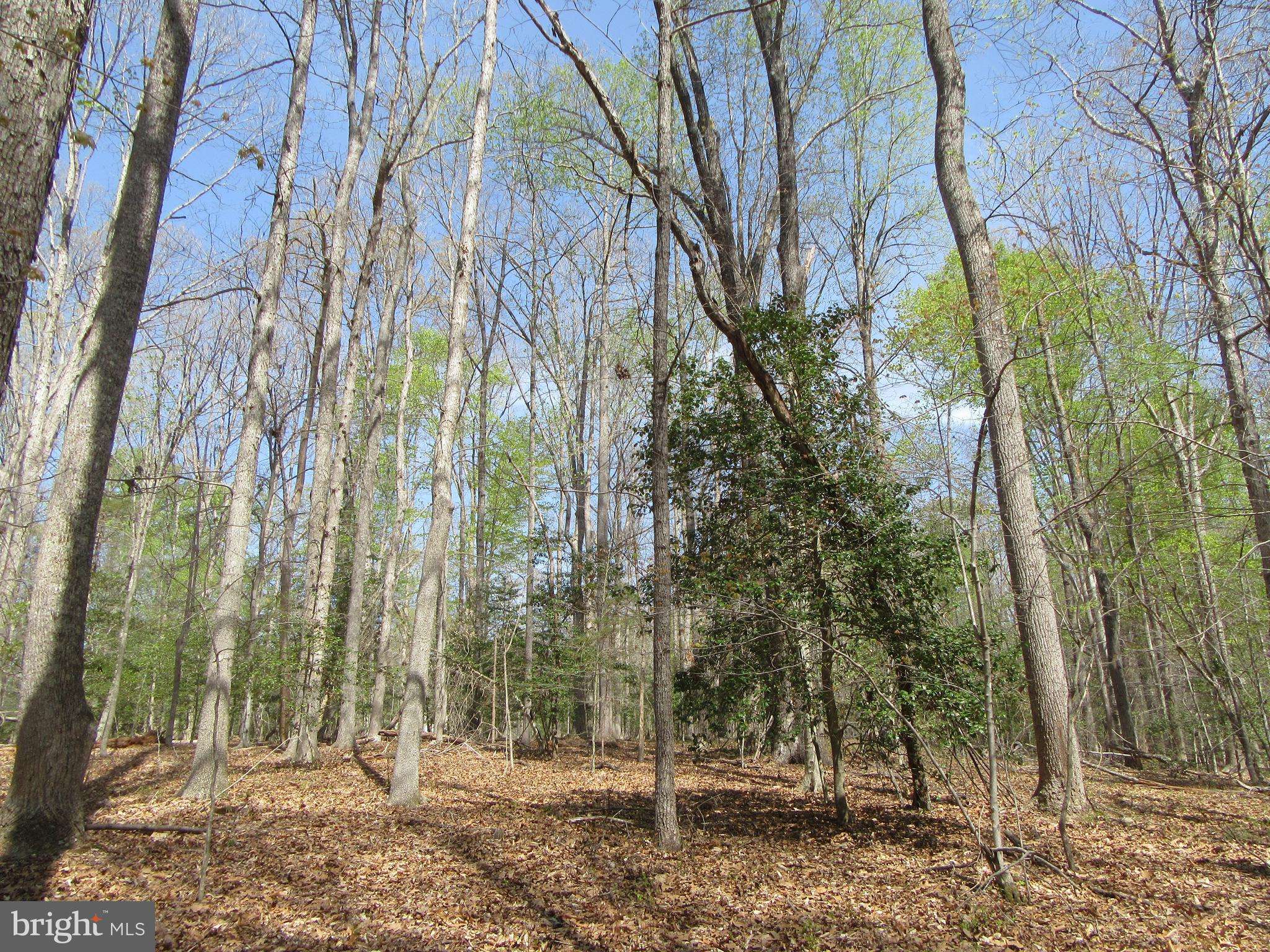 Rhoadesville, VA 22542,DIAMOND GLEN-LOT 3 OLD OFFICE RD