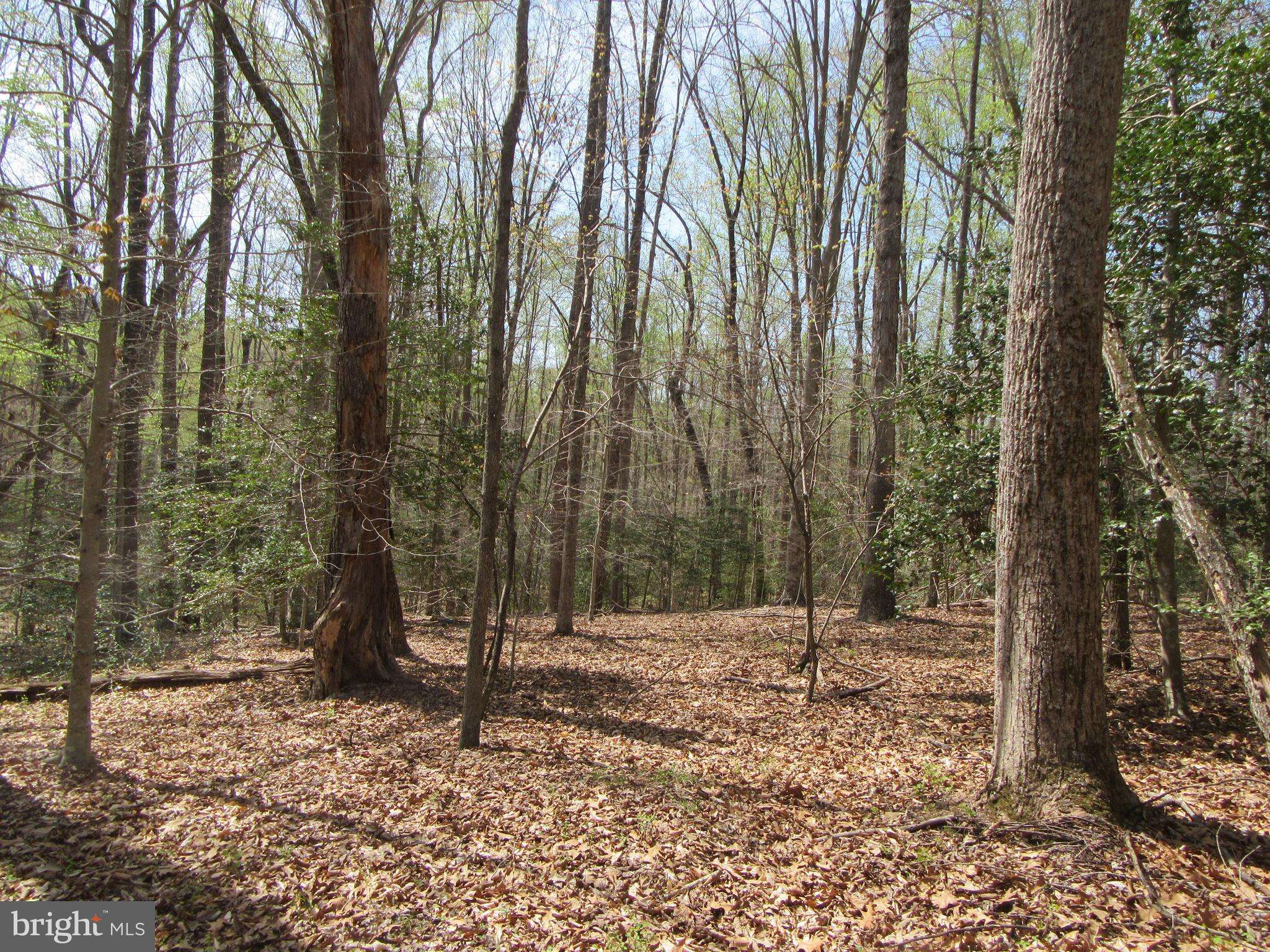 Rhoadesville, VA 22542,DIAMOND GLEN-LOT 3 OLD OFFICE RD