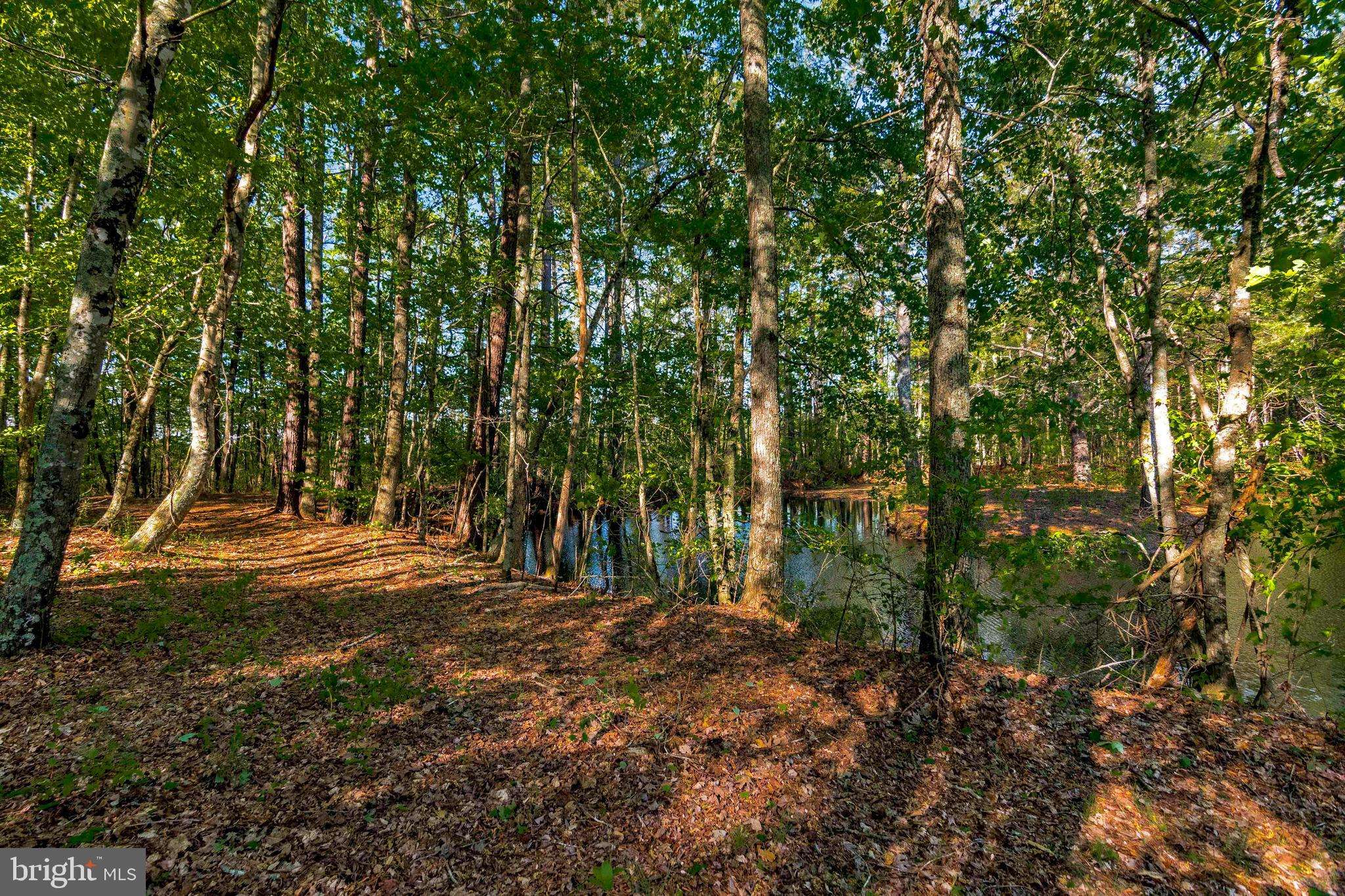 Westover, MD 21871,8899 ARDEN STATION RD