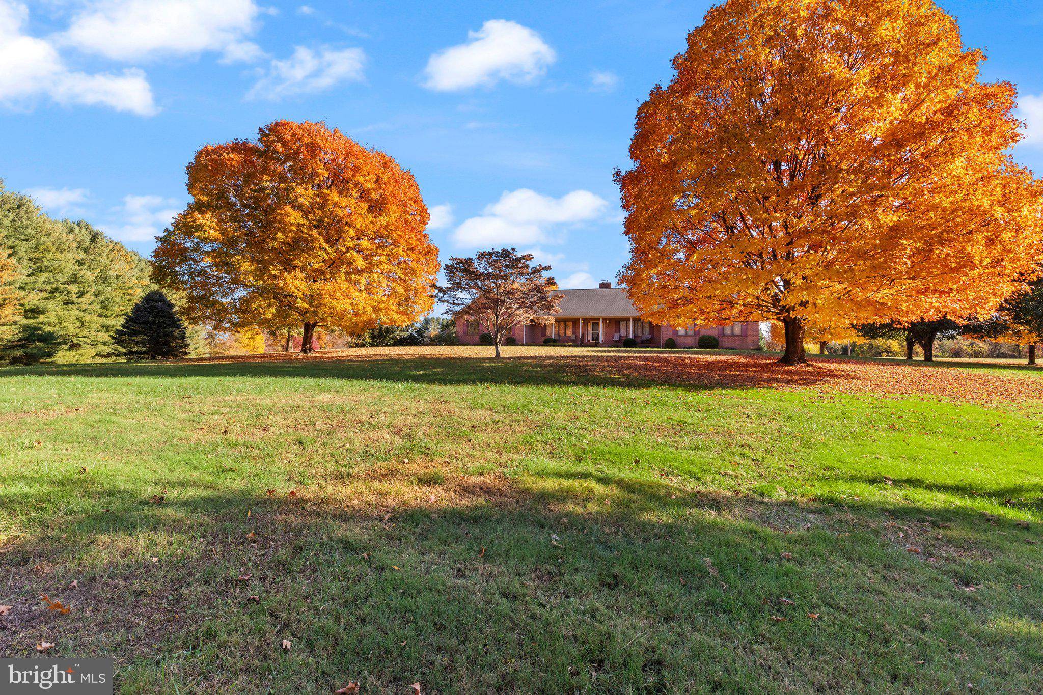 Street, MD 21154,1299 MACTON RD
