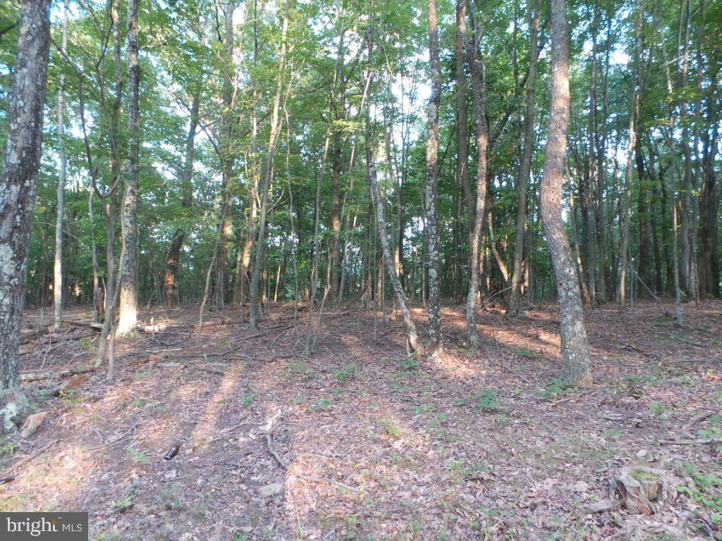 Great Cacapon, WV 25422,2 YOUNGBLOOD