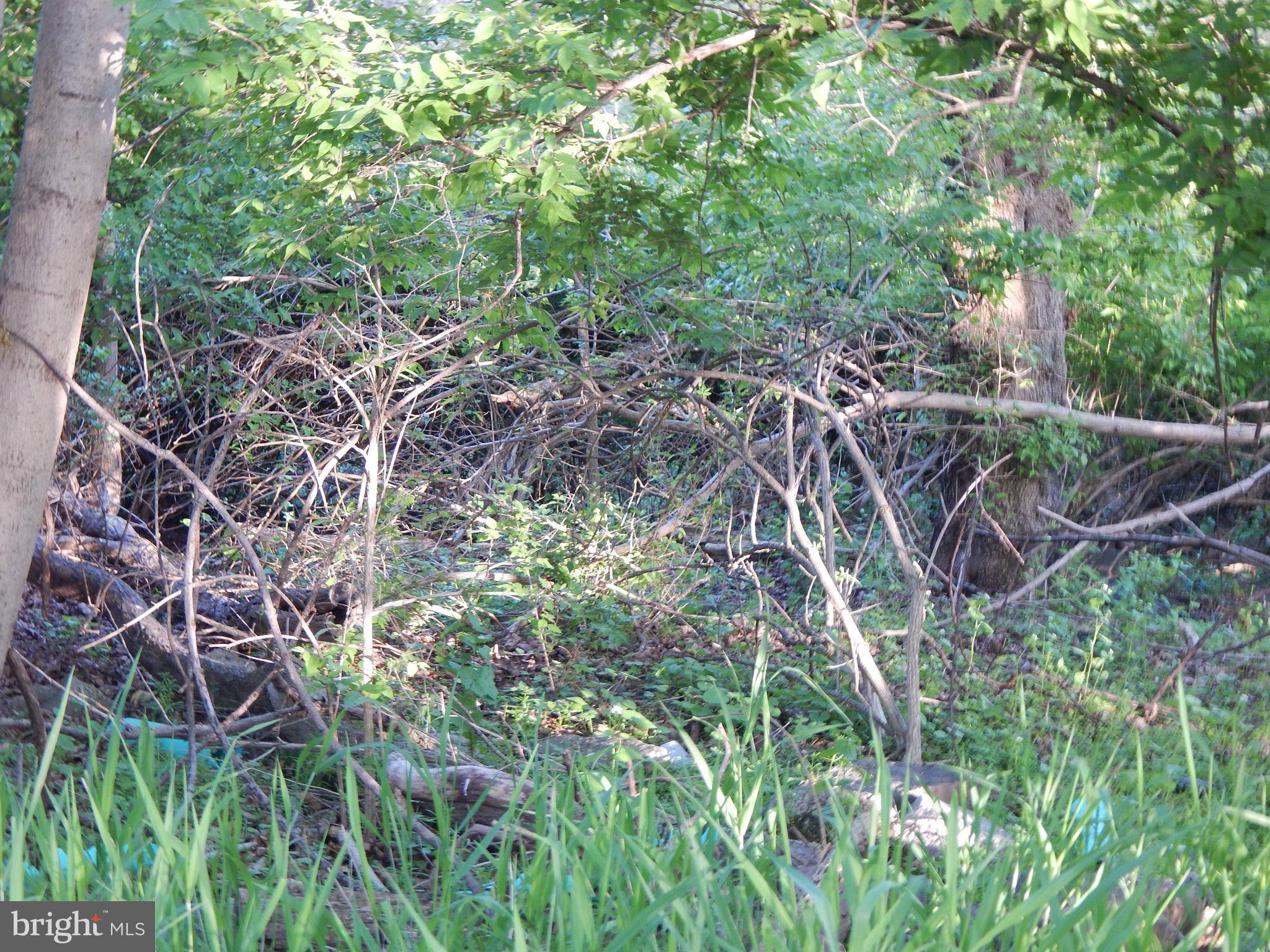 Martinsburg, WV 25404,LOT 92 SIEBERT ST