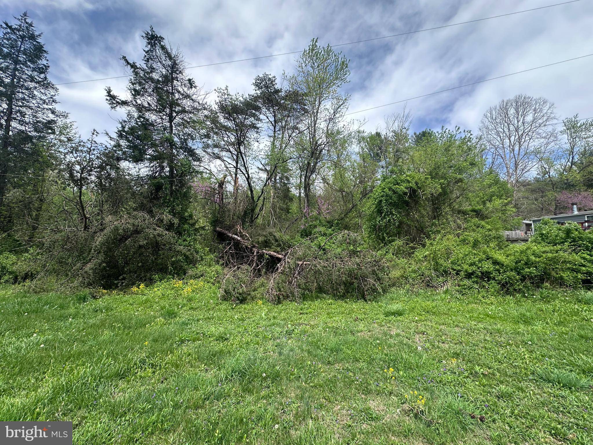 Falling Waters, WV 25419,LOTS 8 & 9 LYNMYER LANE