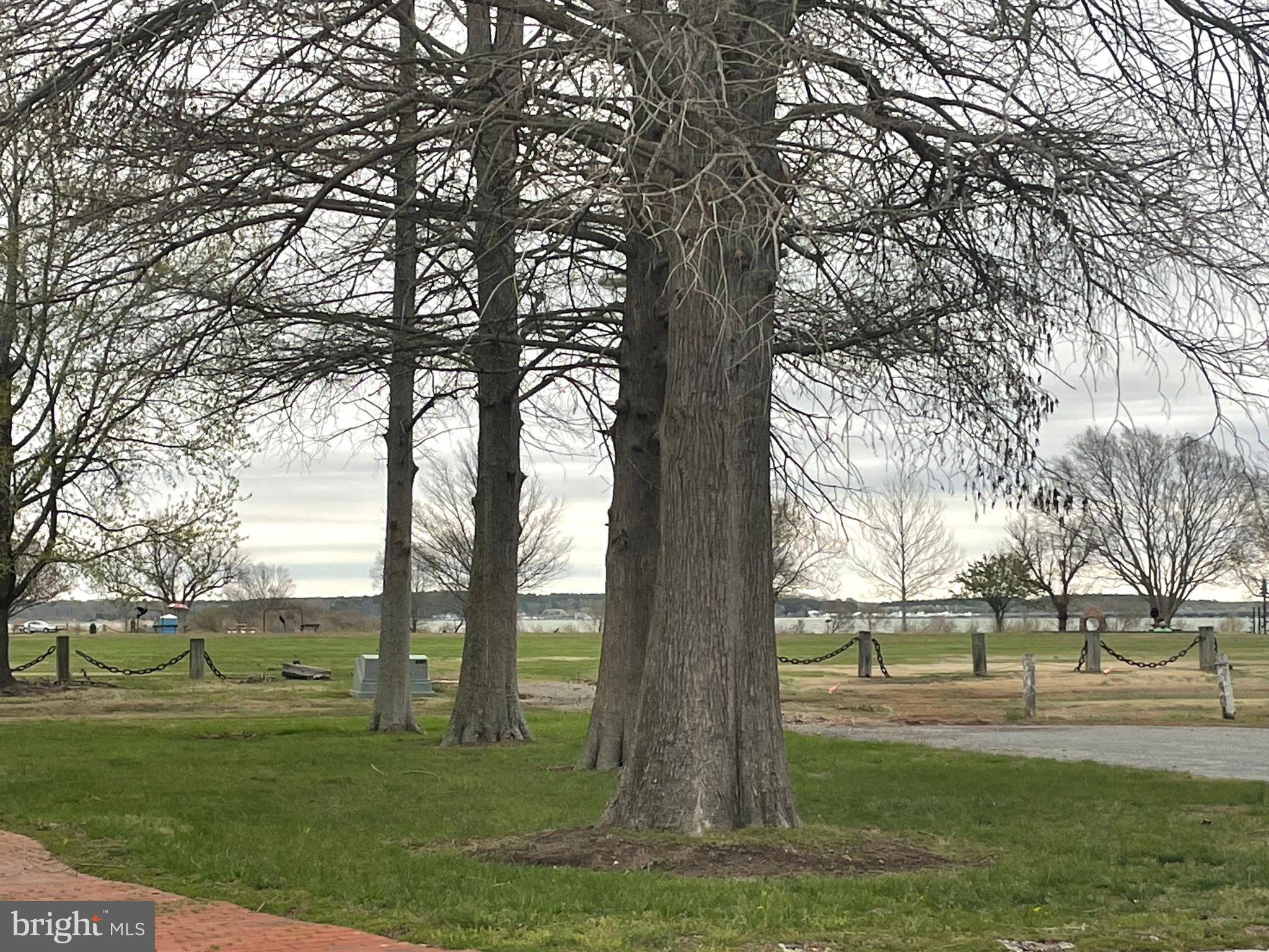 Cambridge, MD 21613,3 TALBOT AVE