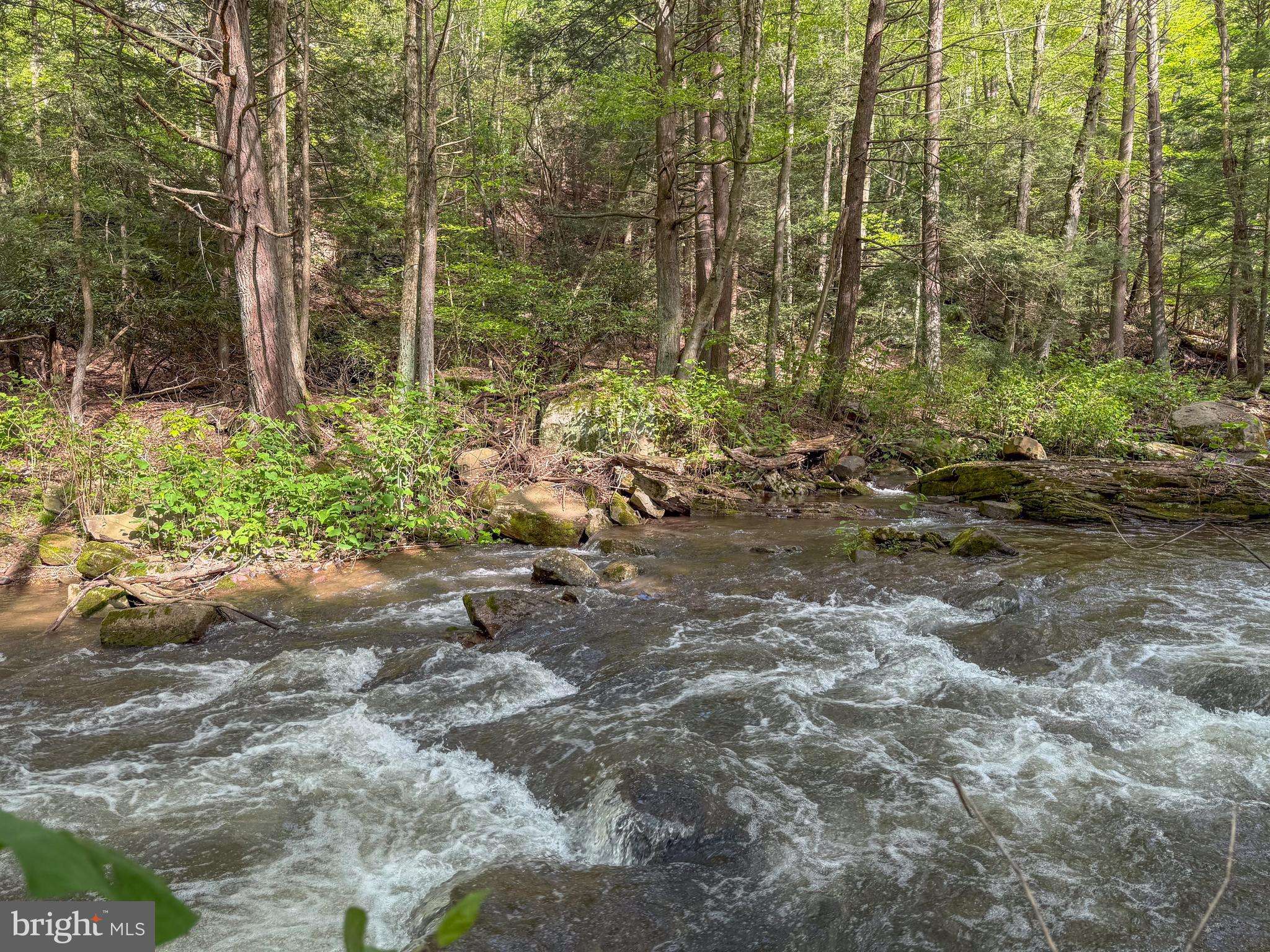 Swanton, MD 21561,SPRING LICK RD
