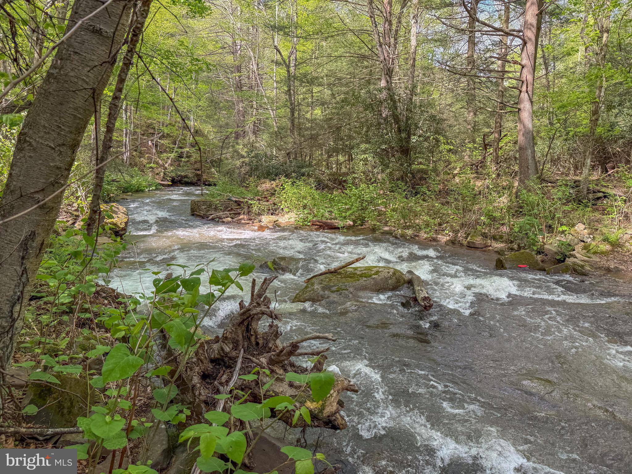 Swanton, MD 21561,SPRING LICK RD