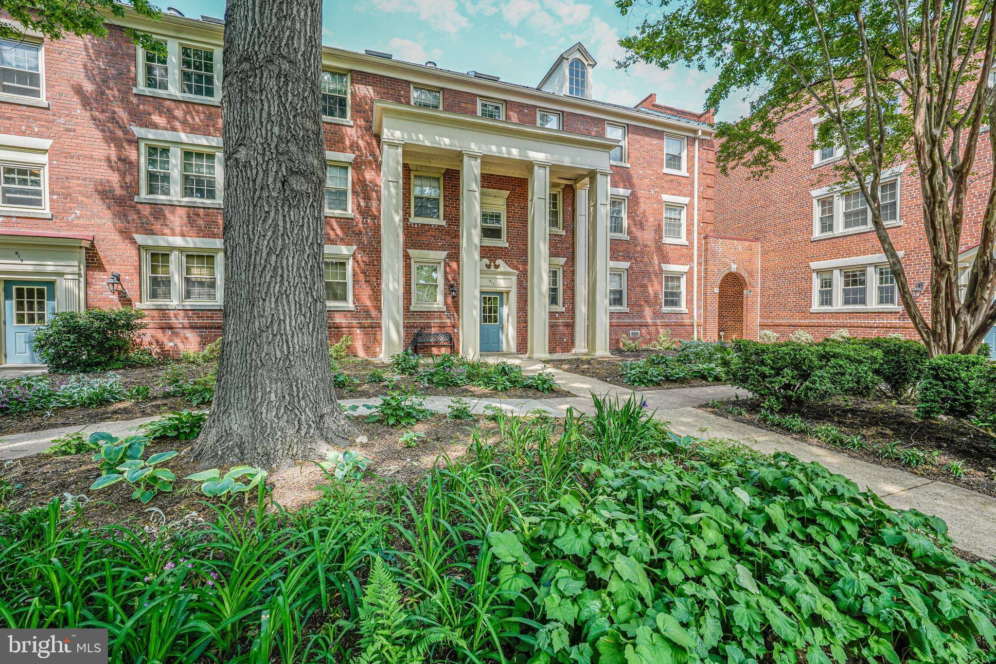 Alexandria, VA 22314,517 BASHFORD LN #5