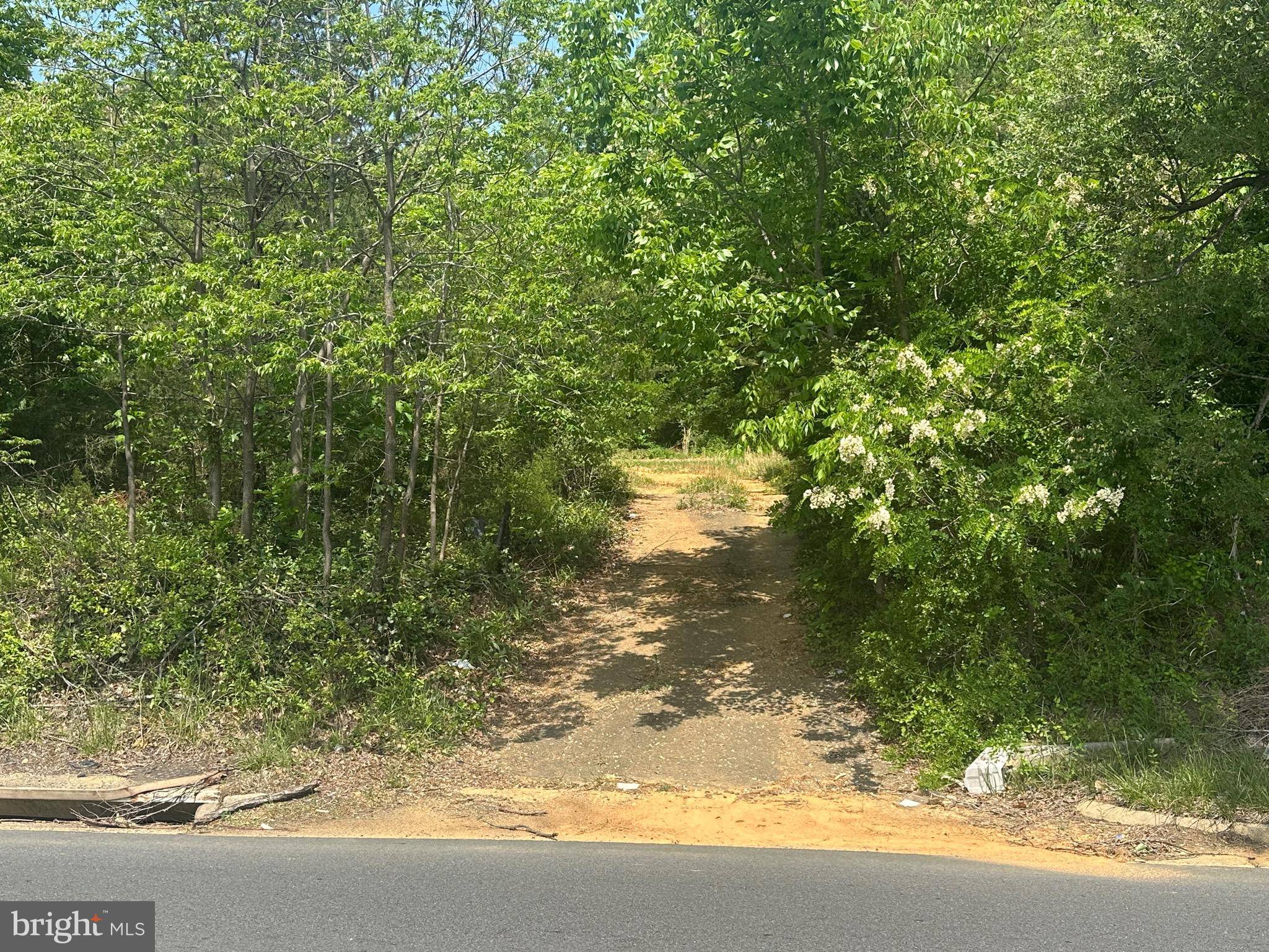 Annandale, VA 22003,6416 COLUMBIA PIKE