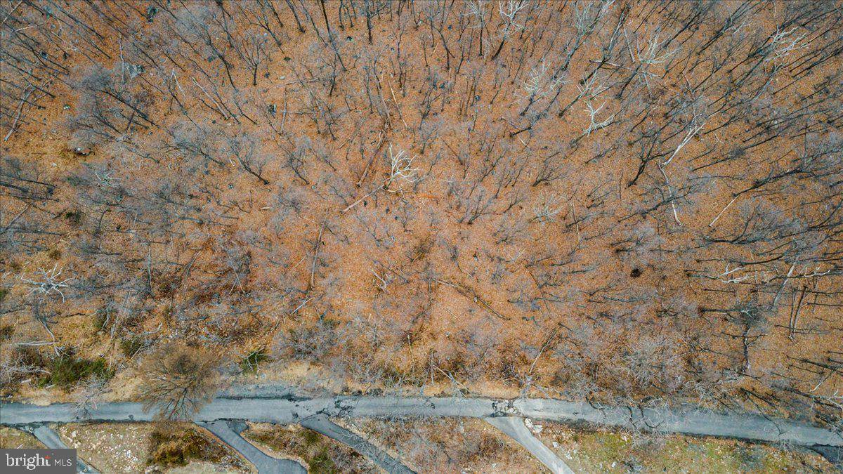 Haymarket, VA 20169,2625 LOOKOUT RD