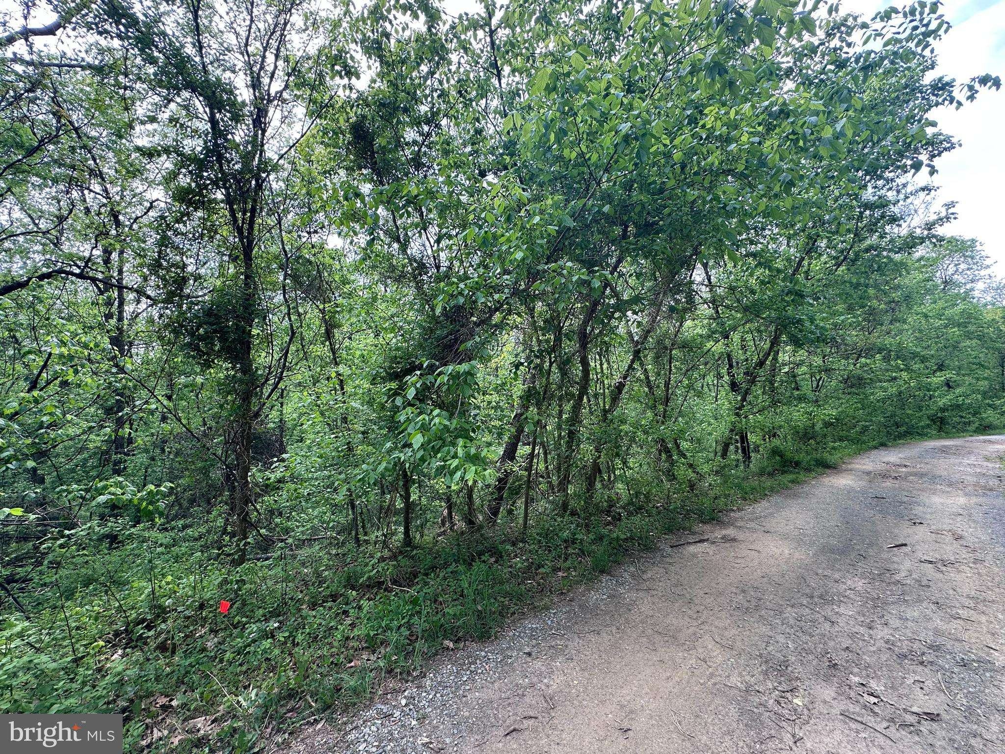 Falling Waters, WV 25419,SHALE PIT DR