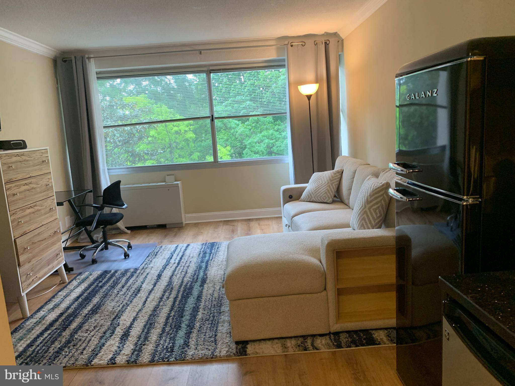 Chevy Chase, MD 20815,5500 FRIENDSHIP BLVD #1105N