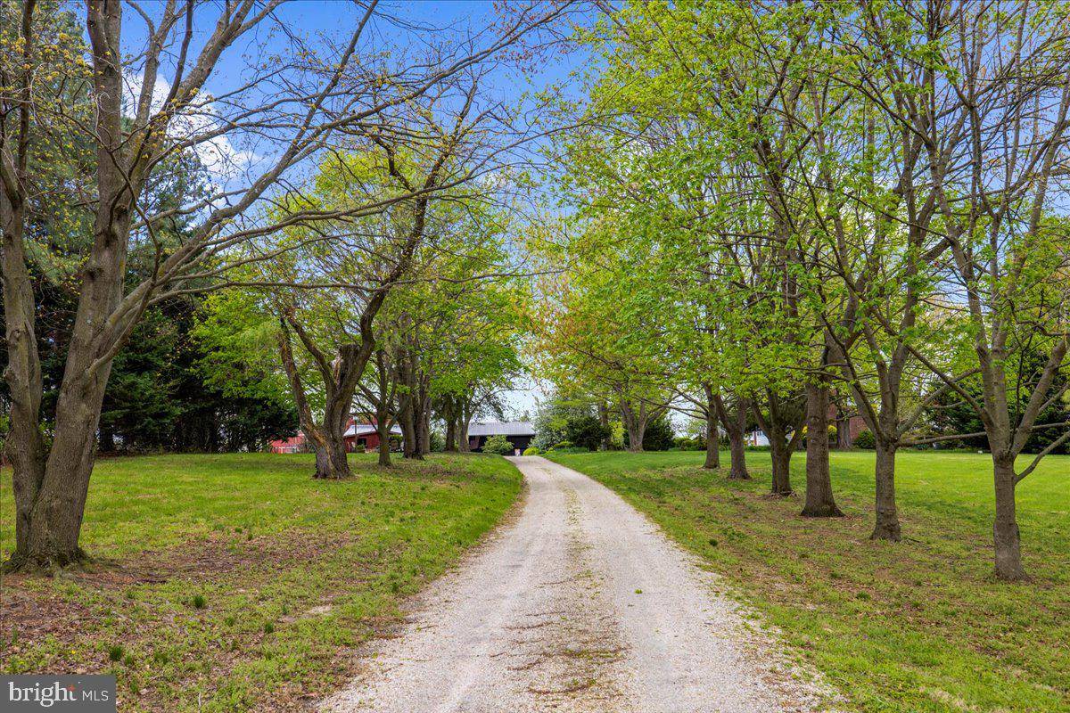 Church Hill, MD 21623,252 GRANNY BRANCH RD