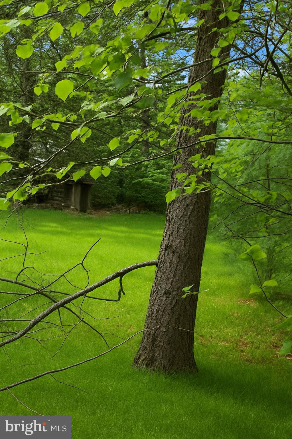Schwenksville, PA 19473,4 PERKIOMEN AVE
