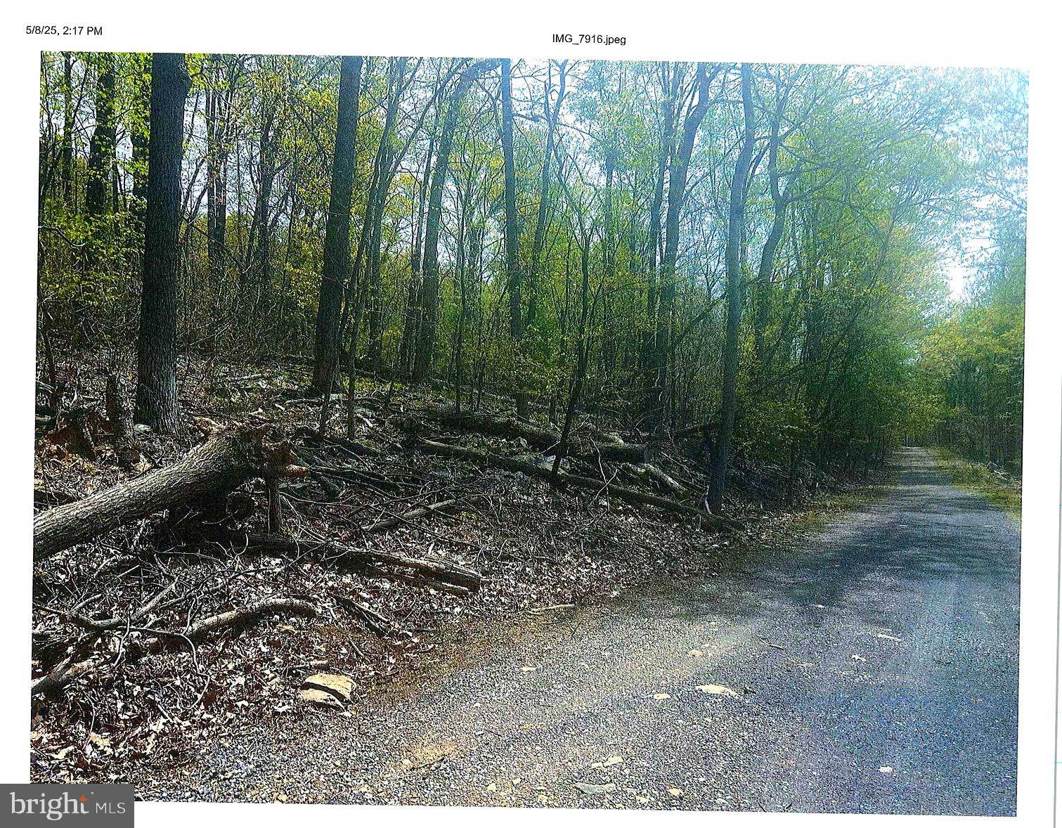 Linden, VA 22642,BAPTIST LN