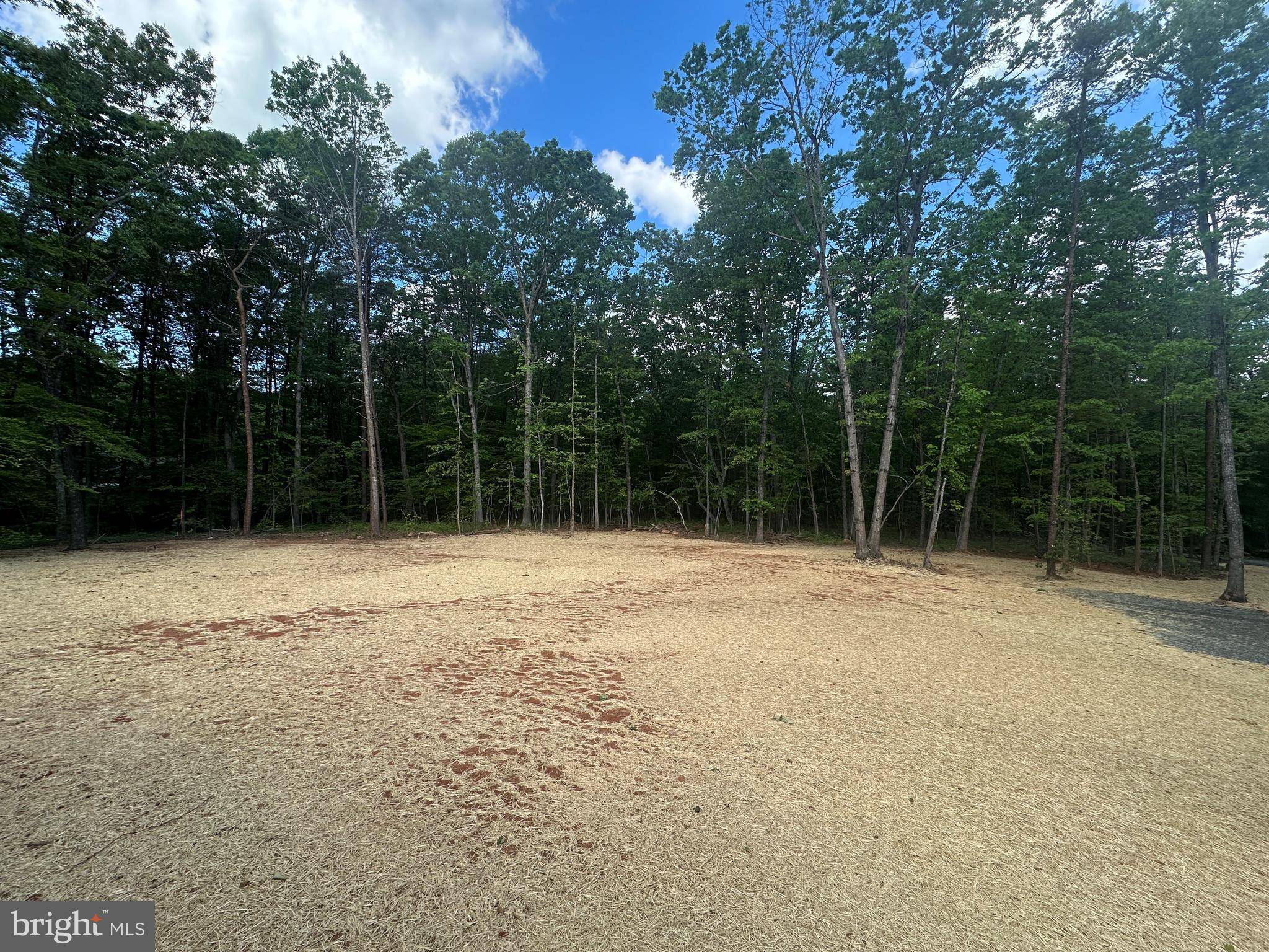Rhoadesville, VA 22542,25120 LETTNER LN