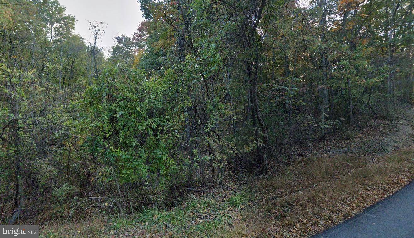 Hedgesville, WV 25427,1 SLEEPY CREEK RD