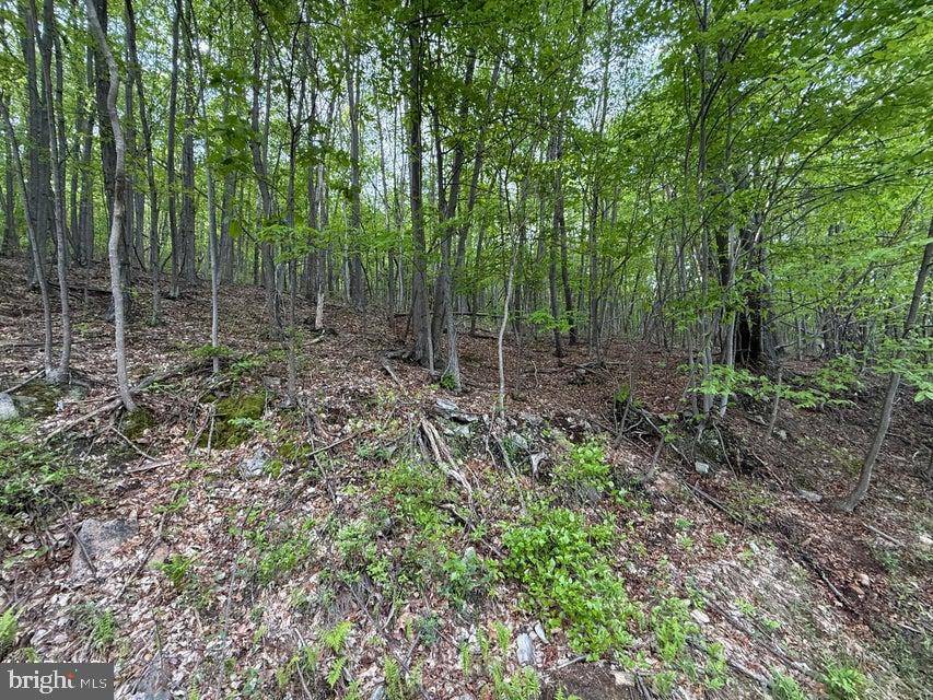Bedford, PA 15522,0 CHERRY RUN ROAD