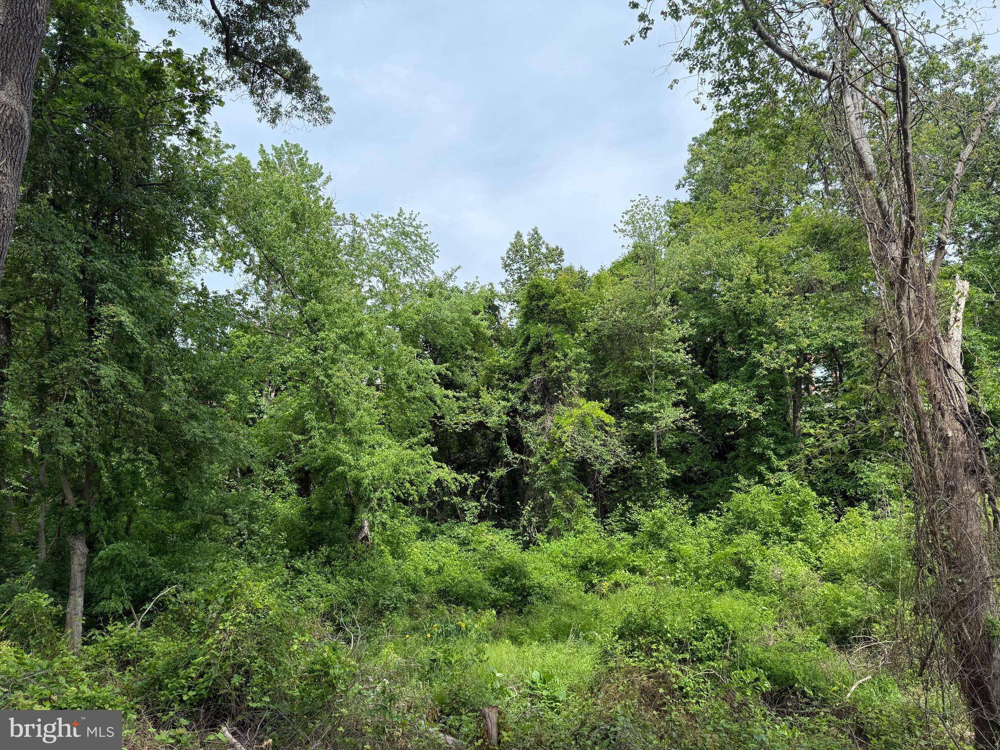Alexandria, VA 22309,9517 FERRY HARBOUR CT